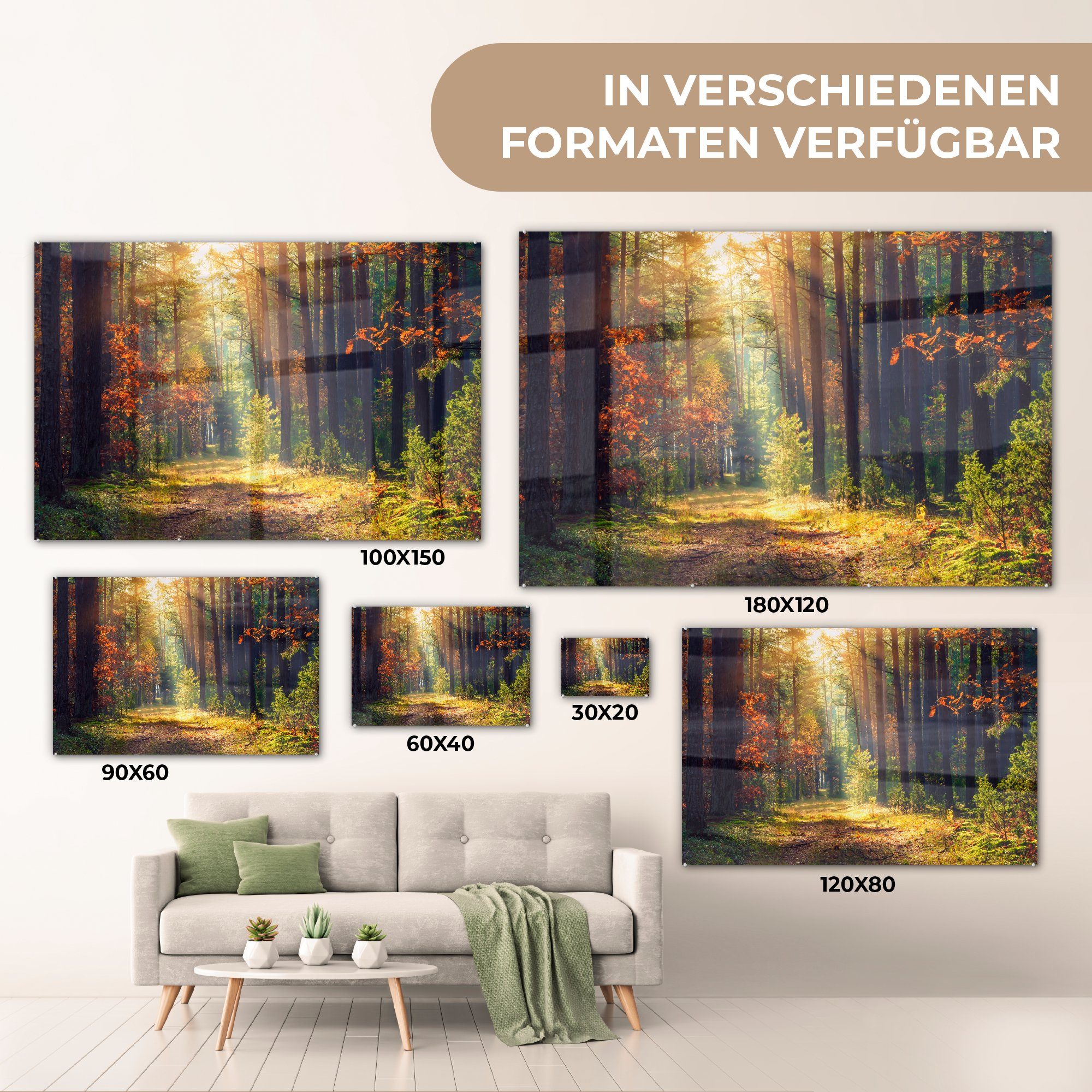 Wohnzimmer Herbst Bäume, Wald - & - St), (1 Schlafzimmer Acrylglasbild MuchoWow Acrylglasbilder