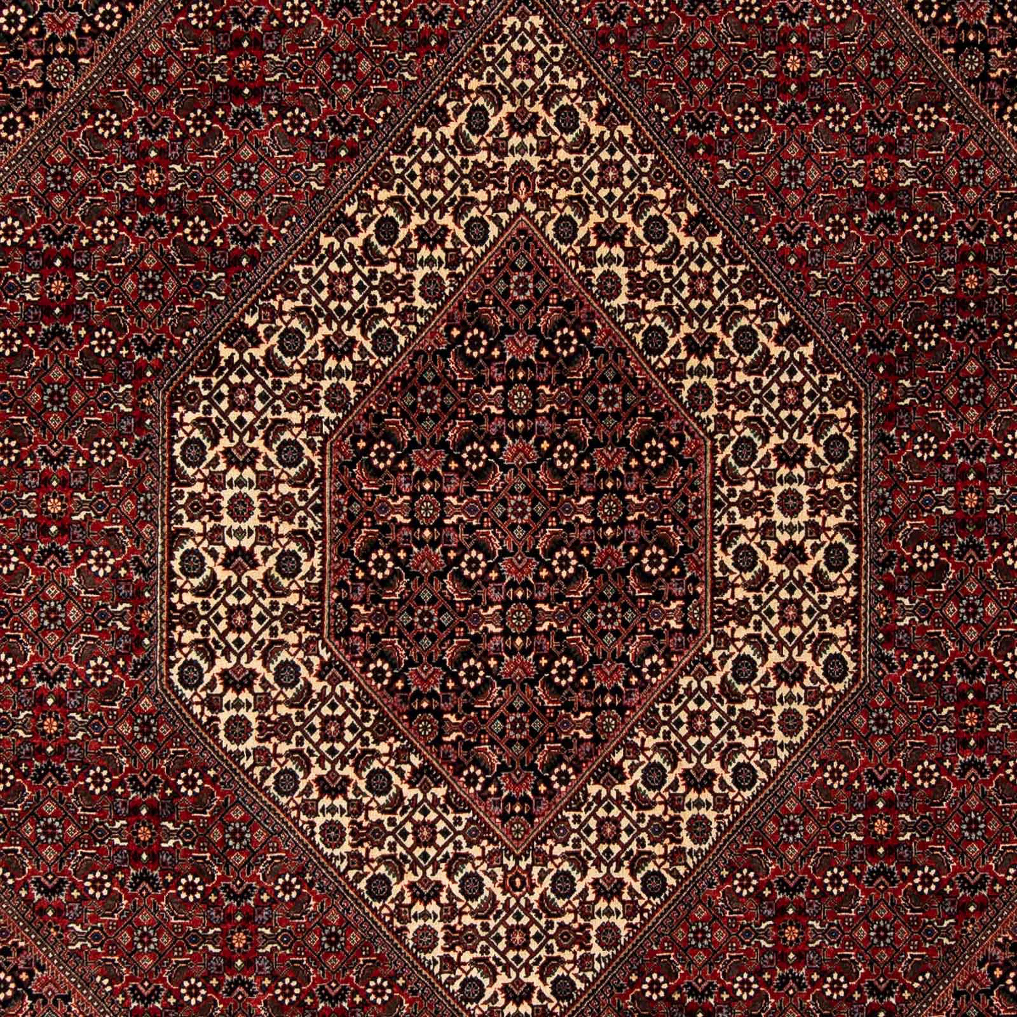 Orientteppich Perser - - dunkelrot, morgenland, mm, Zertifikat cm Handgeknüpft, Bidjar Einzelstück x mit rechteckig, Höhe: 249 - Wohnzimmer, 200 15
