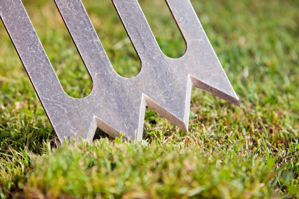 Krumpholz Gartenpflege-Set Krumpholz Gärtner - SPORK mit 90 cm Eschen-T-Stiel