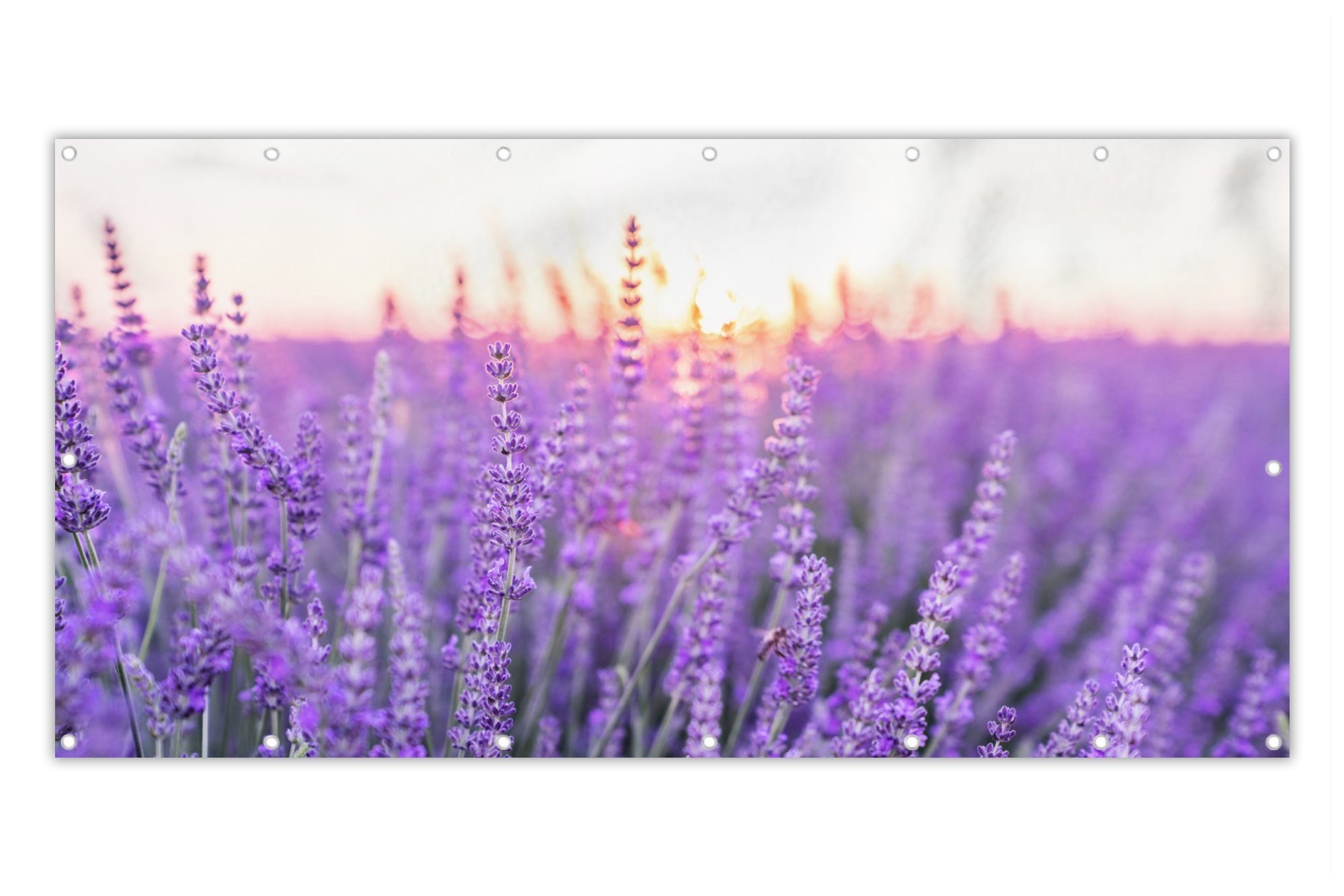 MuchoWow Balkonsichtschutz Lavendel Nahaufnahme Lila Blumen (1St