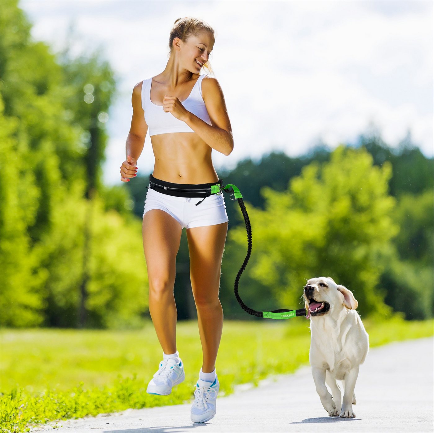 Thumbnail - Leisegrün Joggingleine Joggingleine für kleine Hunde mit Bauchgurt, Nylon