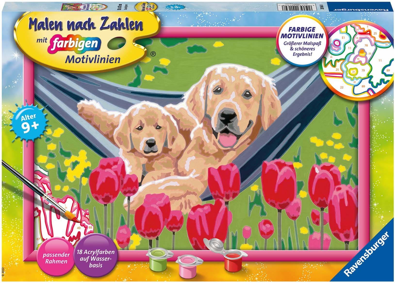 Ravensburger Malen nach Zahlen Kuschelpause, Made in Europe