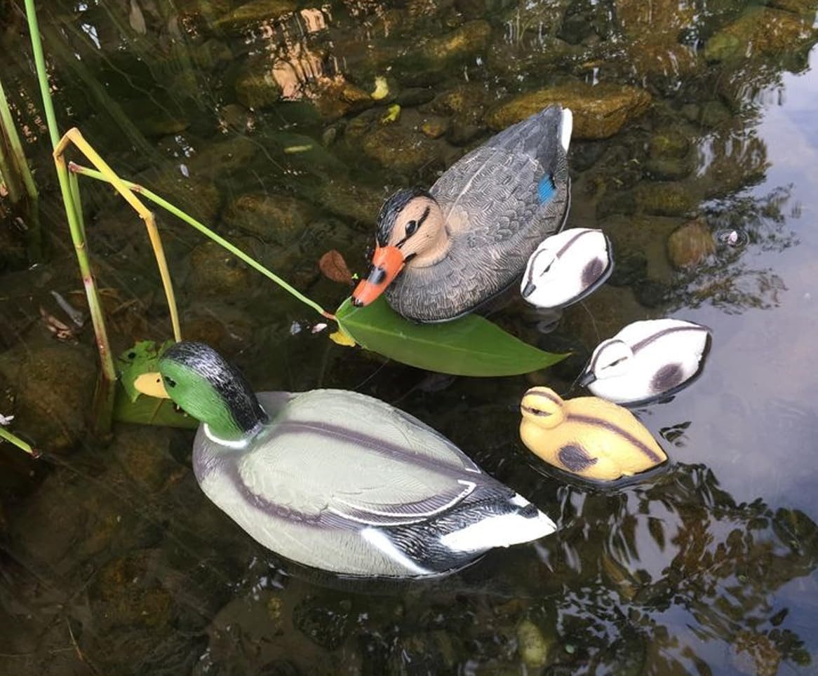 LB H&F Lilienburg Teichfigur 5 Stück Teichente Schwimmente Dekoente Gartenfigur, (Entenküken Teich Deko Garten Gartenteich Schwimmenten Teichdeko Stockente Entenfamilie groß schwimmend Küken Teichfigur Teichfigur Seehund Kopf Schwimmtier Dekofigur Tierfig