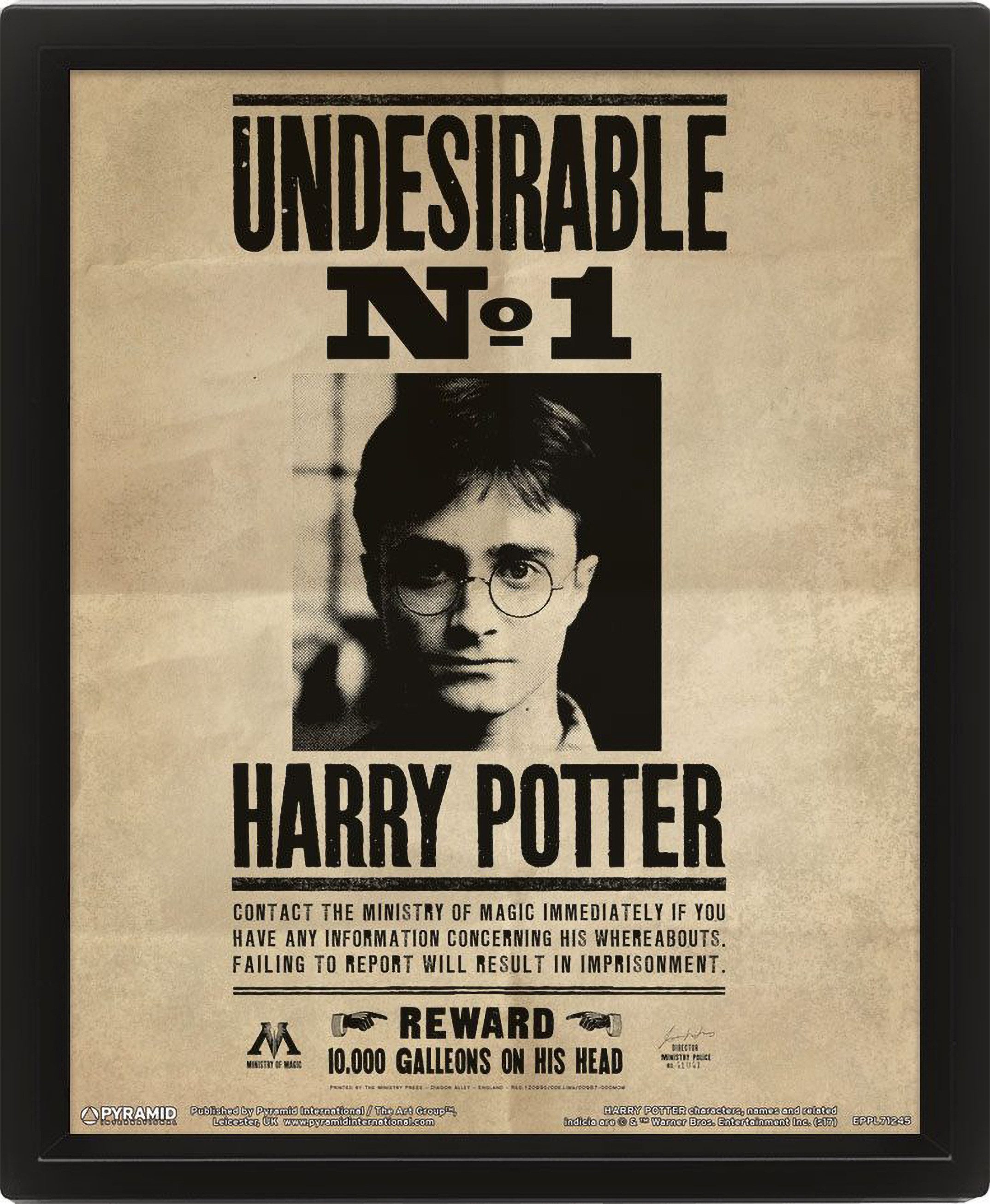 Pyramid International Einzelrahmen Harry Potter 3D-Effekt Poster im Rahmen Potter / Sirius 26 x 20 cm, für 1 Bilder (1 St), 3D-Lenticular-Effekt für Tiefe und Bewegung