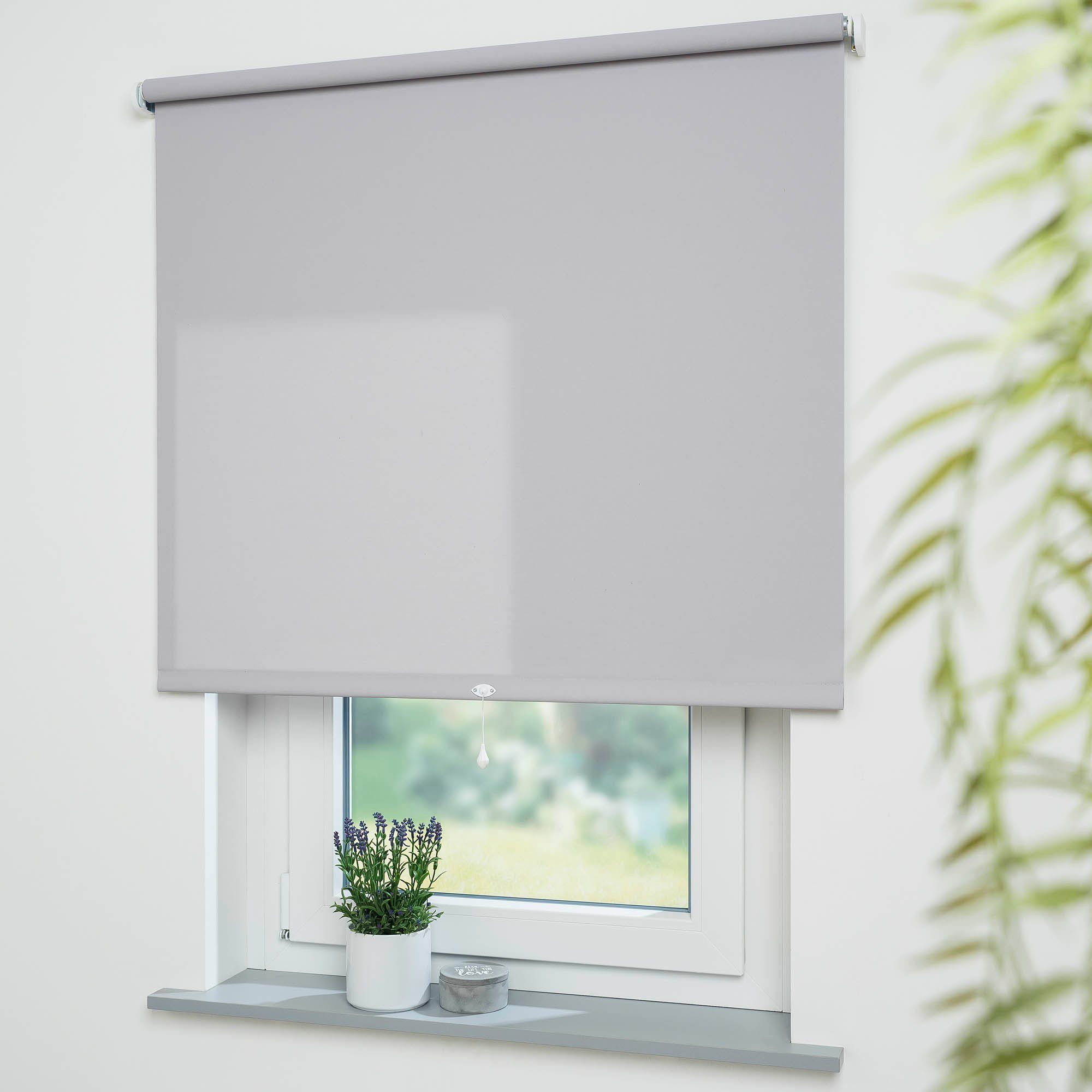 Springrollo Uni, Liedeco, Lichtschutz, mit Bohren, günstig online kaufen