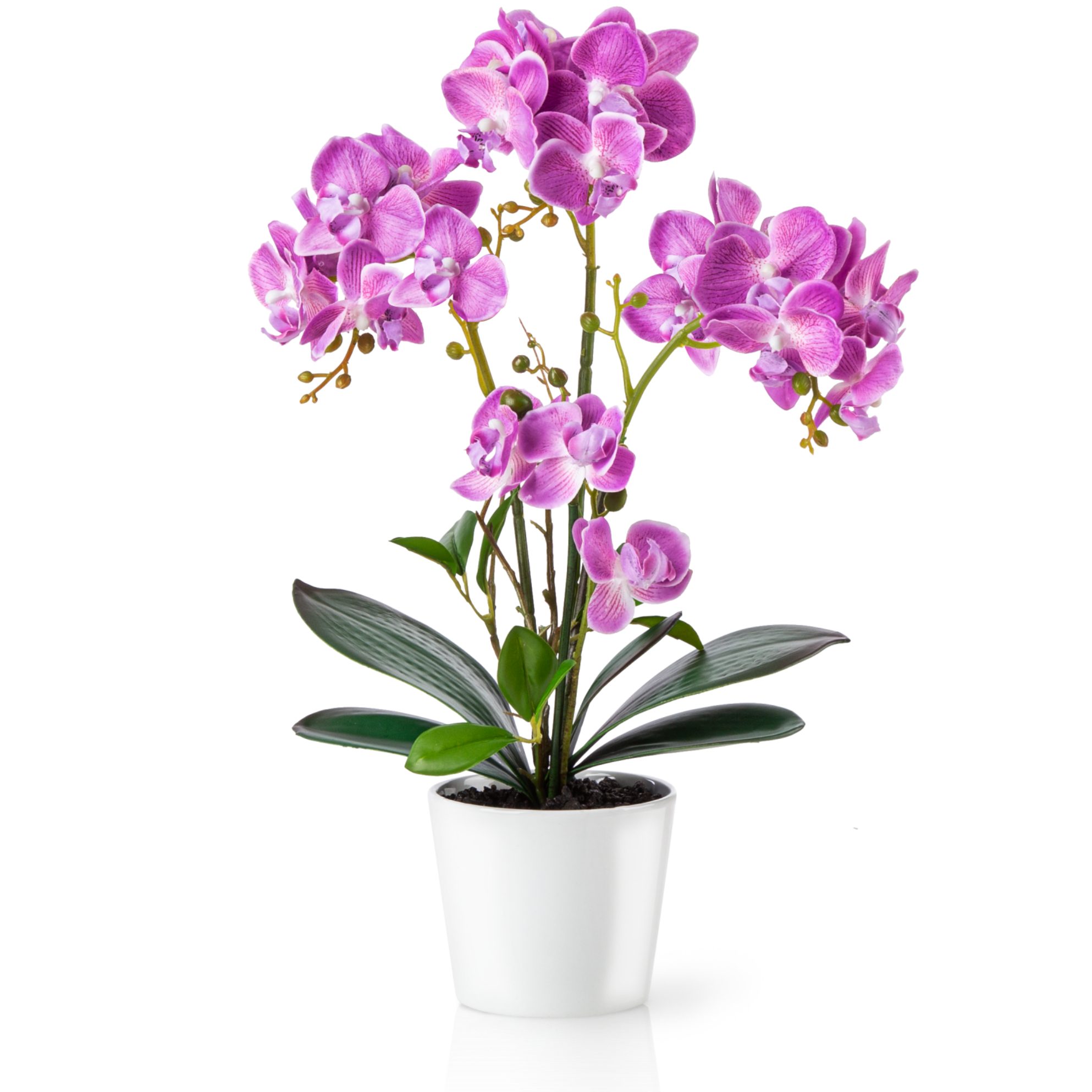 Kunstorchidee PASCH® Orchidee künstlich wie echt (46cm) in Hochglanz-Keramiktopf Orchidee, PASCH, Real Touch