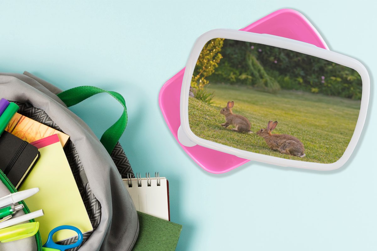 Kunststoff, - Erwachsene, Kinder, Kaninchen Snackbox, Brotdose Lunchbox (2-tlg), - rosa Tiere, für MuchoWow Mädchen, Brotbox Wild Kunststoff