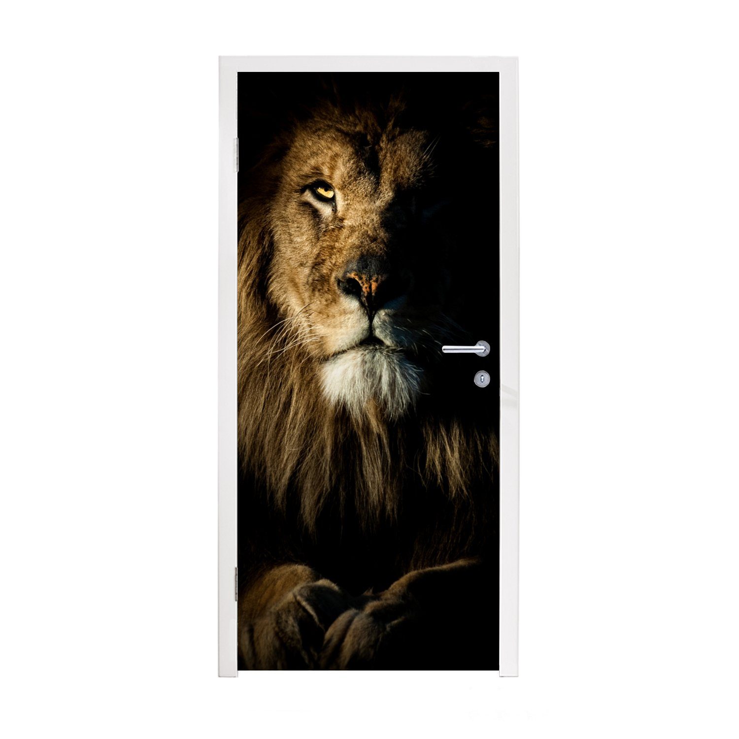 MuchoWow Türtapete Löwe - Licht - Schwarz, Matt, bedruckt, (1 St), Fototapete für Tür, Türaufkleber, 75x205 cm