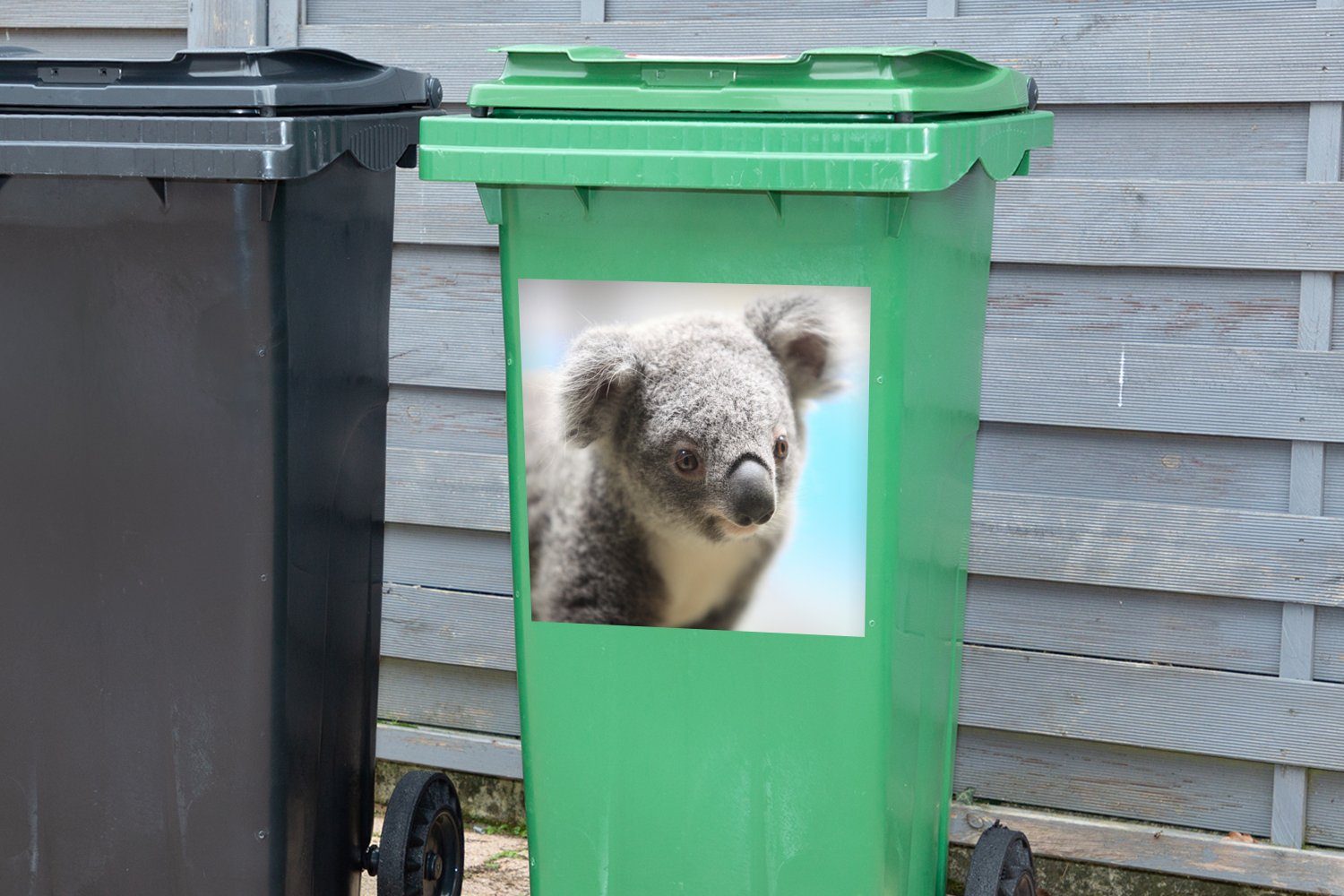 Sticker, Mülltonne, Jungen - Wandsticker Mädchen Porträt Kinder Container, - - St), Tier - Mülleimer-aufkleber, Abfalbehälter (1 Koala MuchoWow -