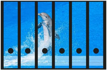 Wallario Etiketten Fröhlicher Delfin im blauen Wasser, Ordnerrücken-Sticker in verschiedenen Ausführungen