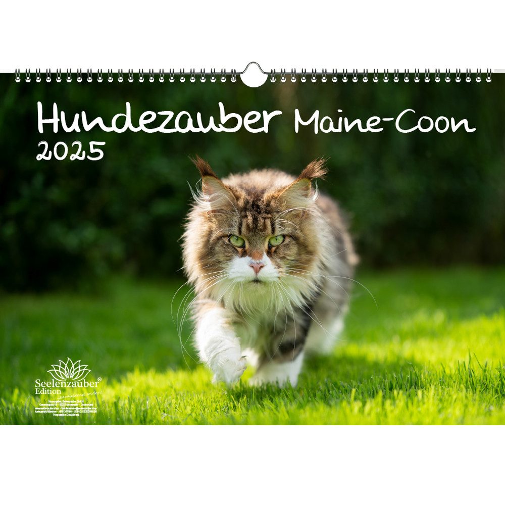 Seelenzauber Wandkalender Katzenzauber MaineCoon DIN A3 Kalender für