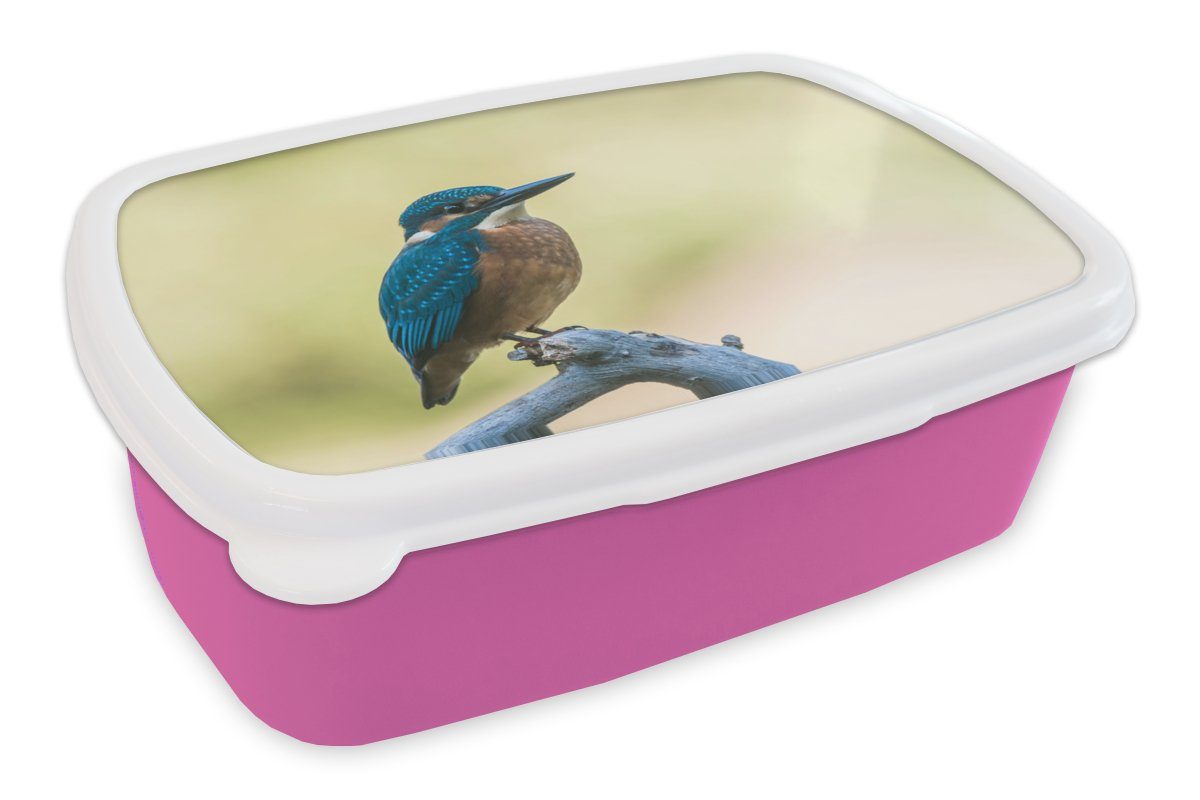 MuchoWow Lunchbox Eisvogel - Zweig - Vogel, Kunststoff, (2-tlg), Brotbox für Erwachsene, Brotdose Kinder, Snackbox, Mädchen, Kunststoff rosa