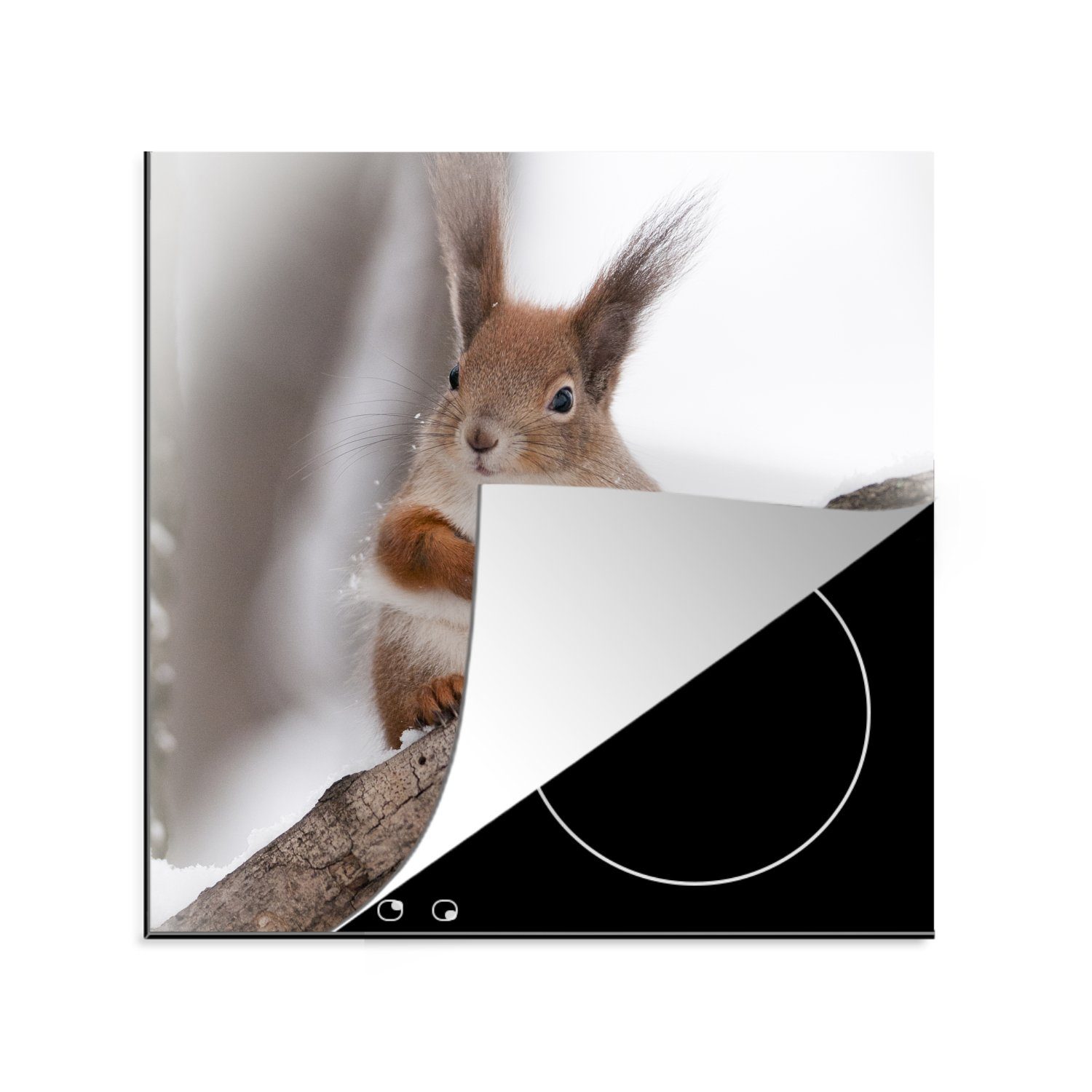 MuchoWow Herdblende-/Abdeckplatte Eichhörnchen - Baum - Schneeflocke - Winter, Vinyl, (1 tlg), 78x78 cm, Ceranfeldabdeckung, Arbeitsplatte für küche