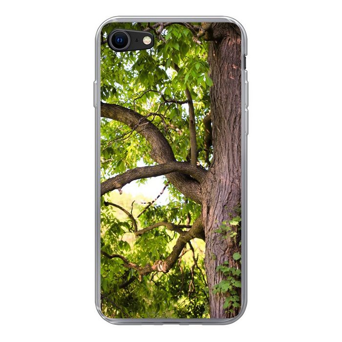 MuchoWow Handyhülle Kastanienbaum im Frühling Handyhülle Apple iPhone 8 Smartphone-Bumper Print Handy Schutzhülle