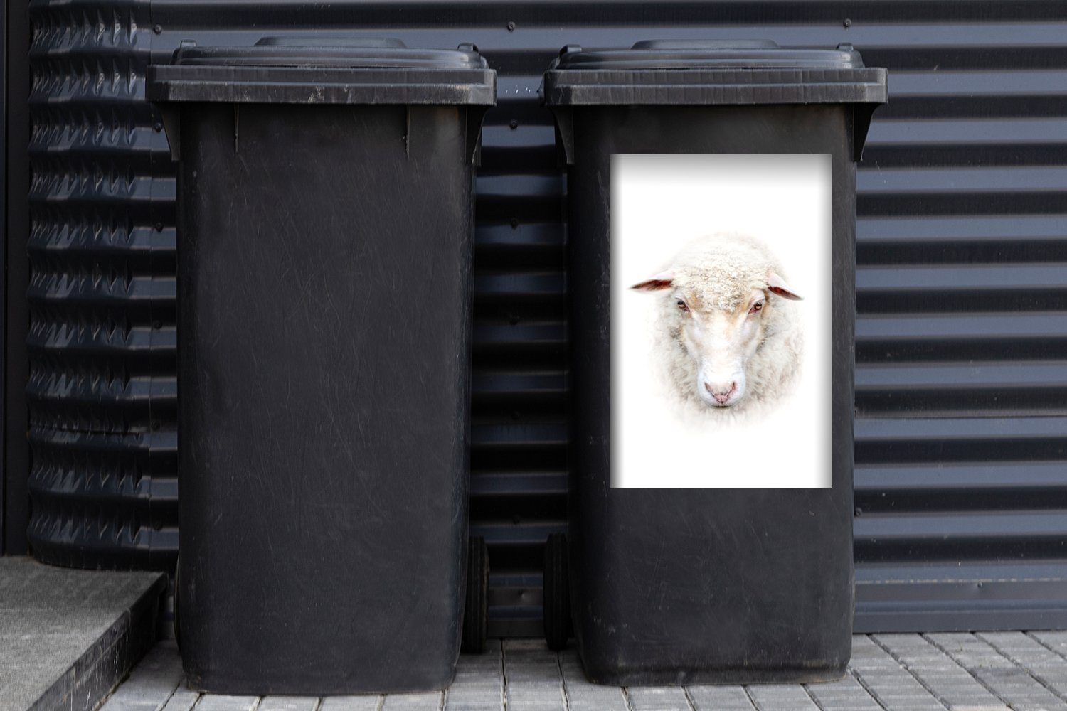 Schafe Abfalbehälter MuchoWow St), Wolle Wandsticker Container, Mülleimer-aufkleber, - Mülltonne, Porträt Sticker, - (1