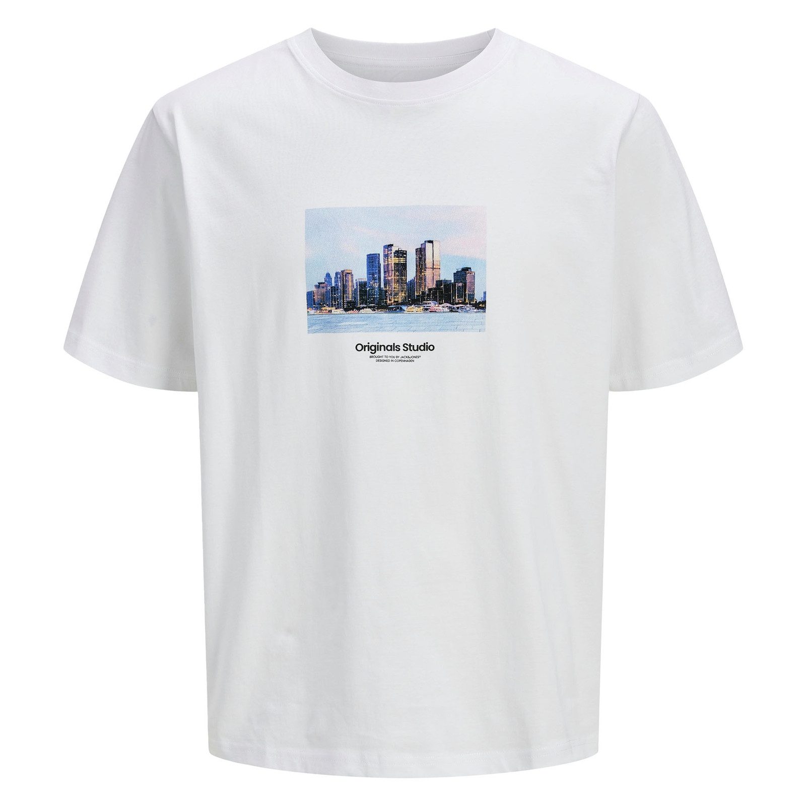 Jack & Jones T-Shirt JORVESTERBRO Picture Tee SS Crew Neck SN mit Print auf günstig online kaufen