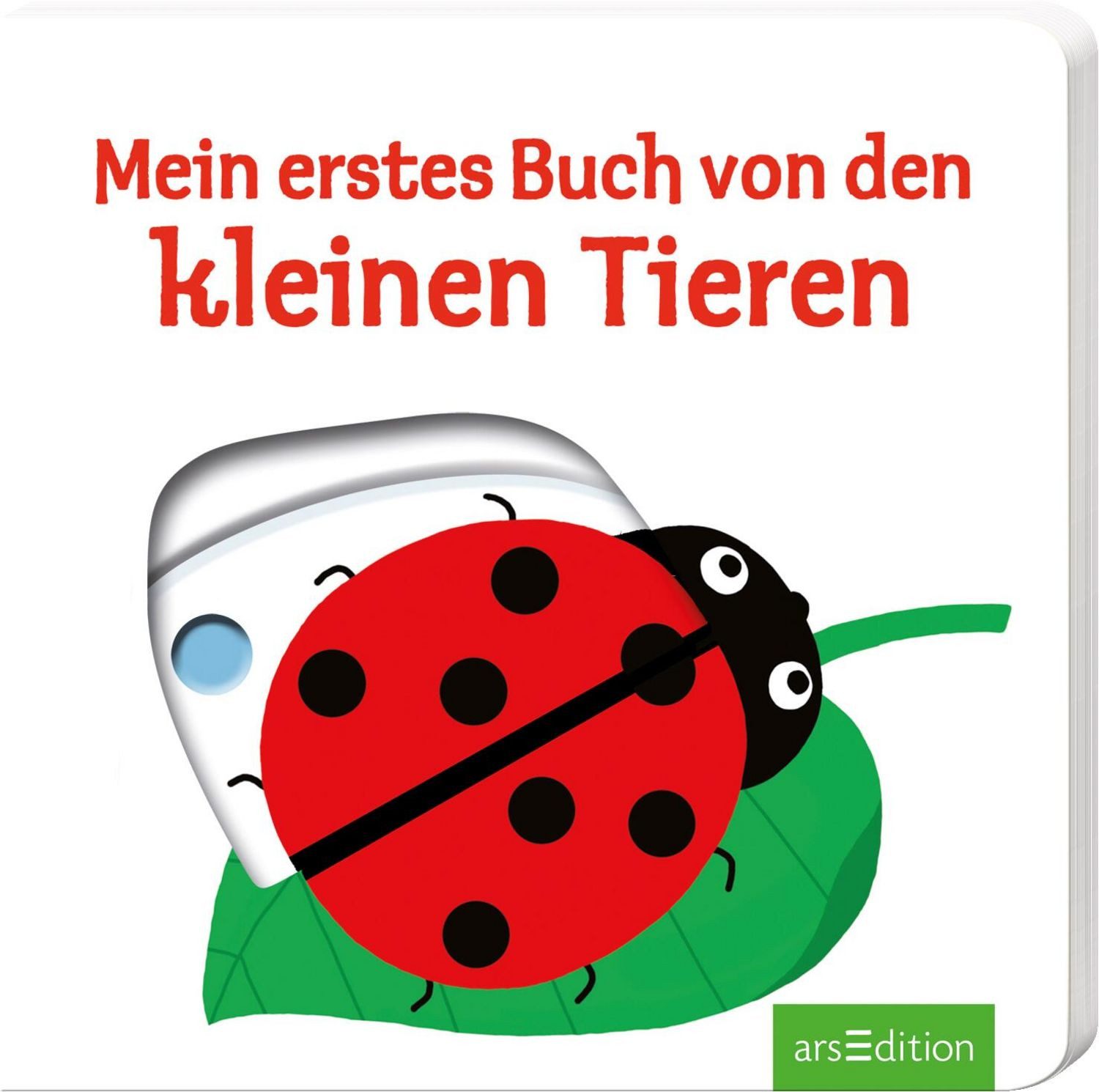Mein erstes Buch von den kleinen Tieren / diverse