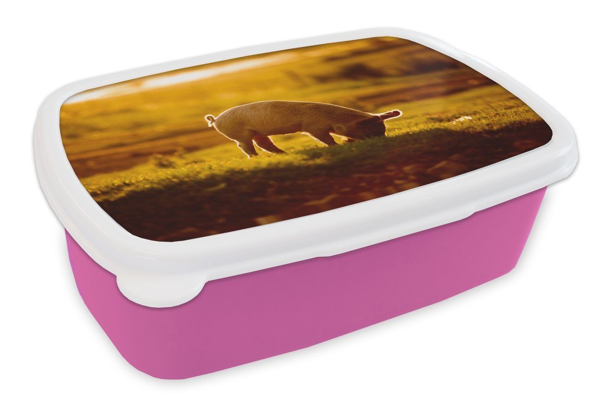 MuchoWow Kinder, (2-tlg), - Licht, Snackbox, rosa Schwein Brotdose Brotbox Kunststoff, - für Lunchbox Erwachsene, Mädchen, Gras Kunststoff