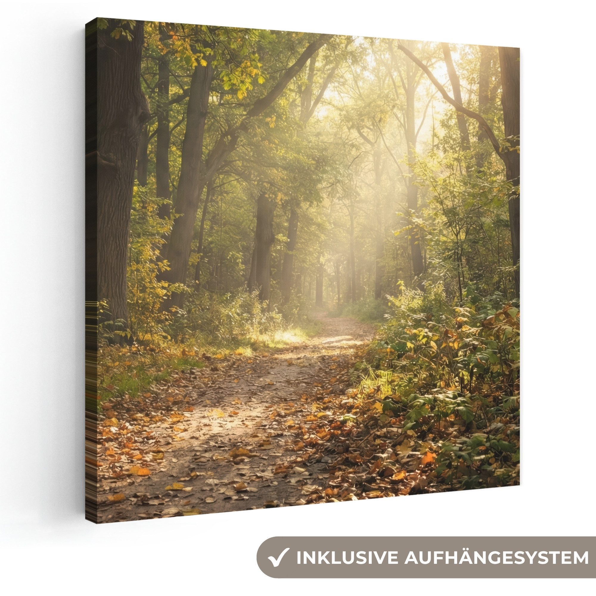 OneMillionCanvasses® Leinwandbild Sonnenlicht - Waldweg - Bäume, Fotodruck (1 St), Wandbild, Deko Schlafzimmer Wohnzimmer Flur 20x20 cm