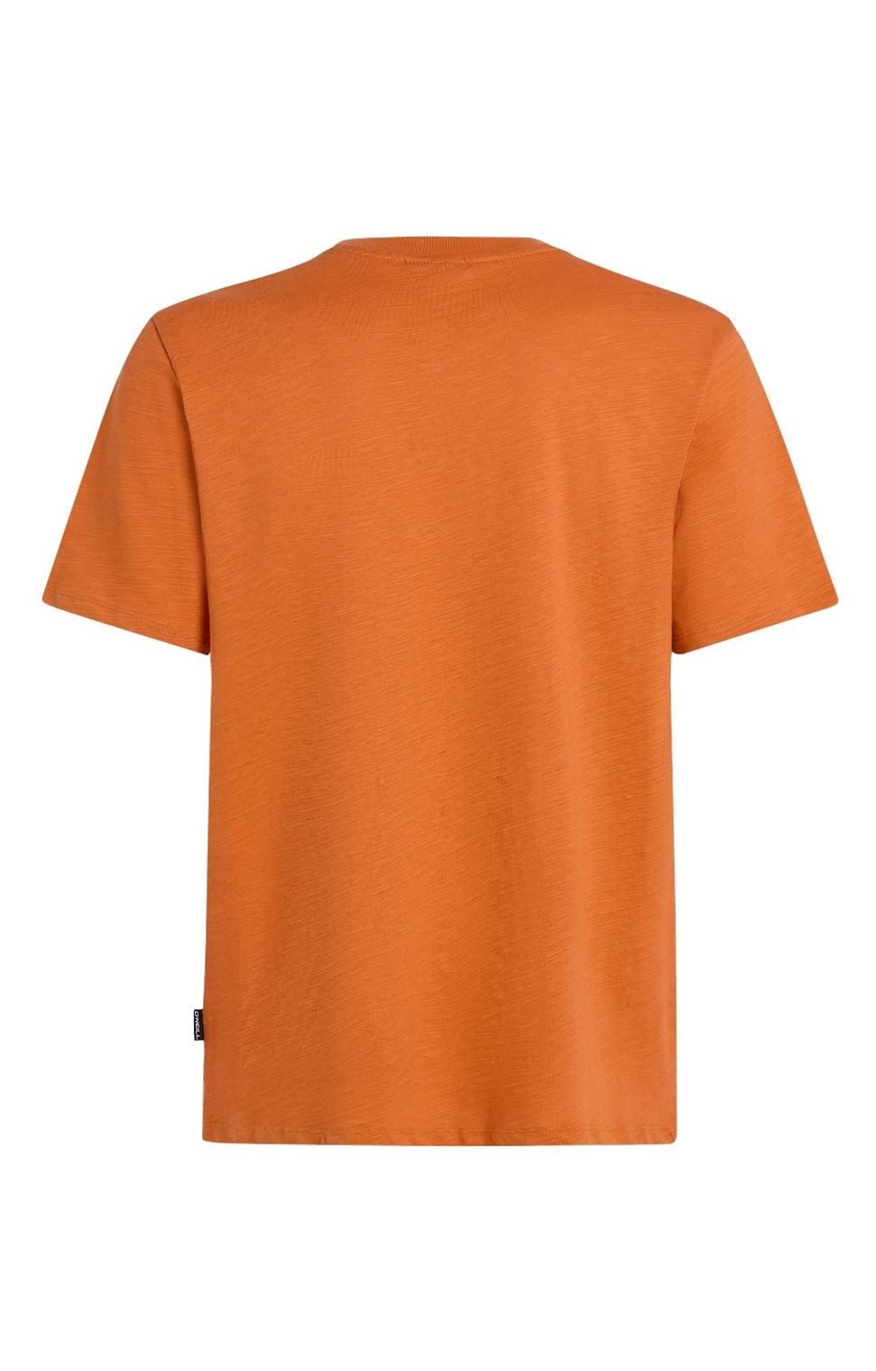 O'Neill T-Shirt