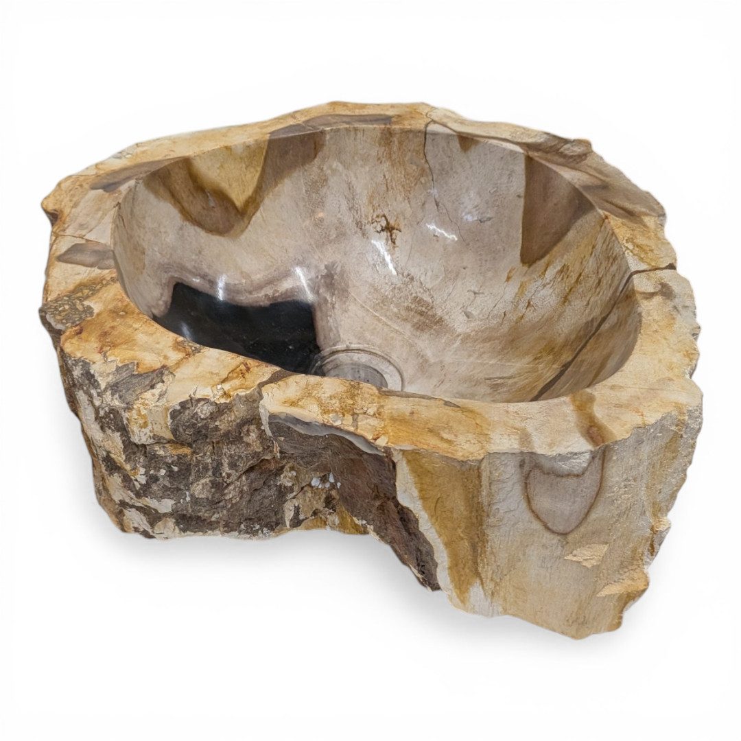Kinaree Aufsatzwaschbecken Versteinertes Holz Waschbecken #15, poliert, Naturstein, Braun, Schwarz, Einzelstück