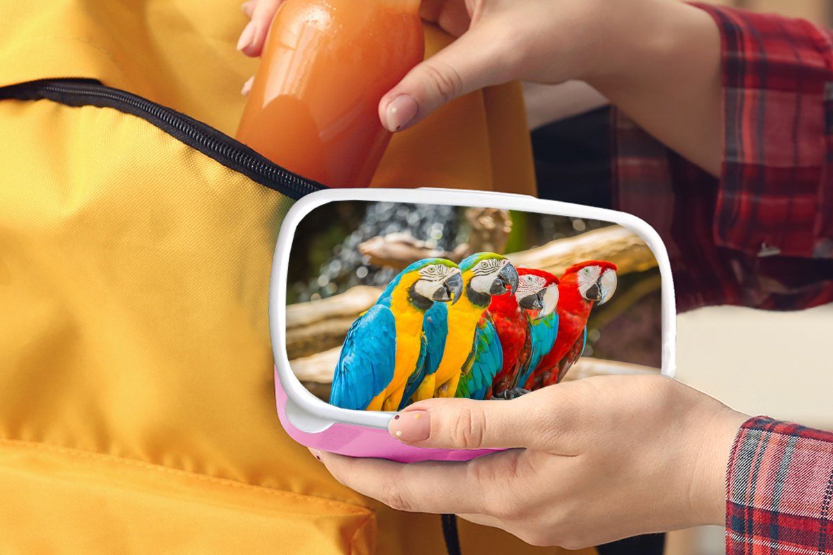 MuchoWow Lunchbox Tropisch Kunststoff Snackbox, Kinder, (2-tlg), Vögel - - rosa Erwachsene, Kunststoff, für - Mädchen, Brotbox Brotdose Papagei Natur