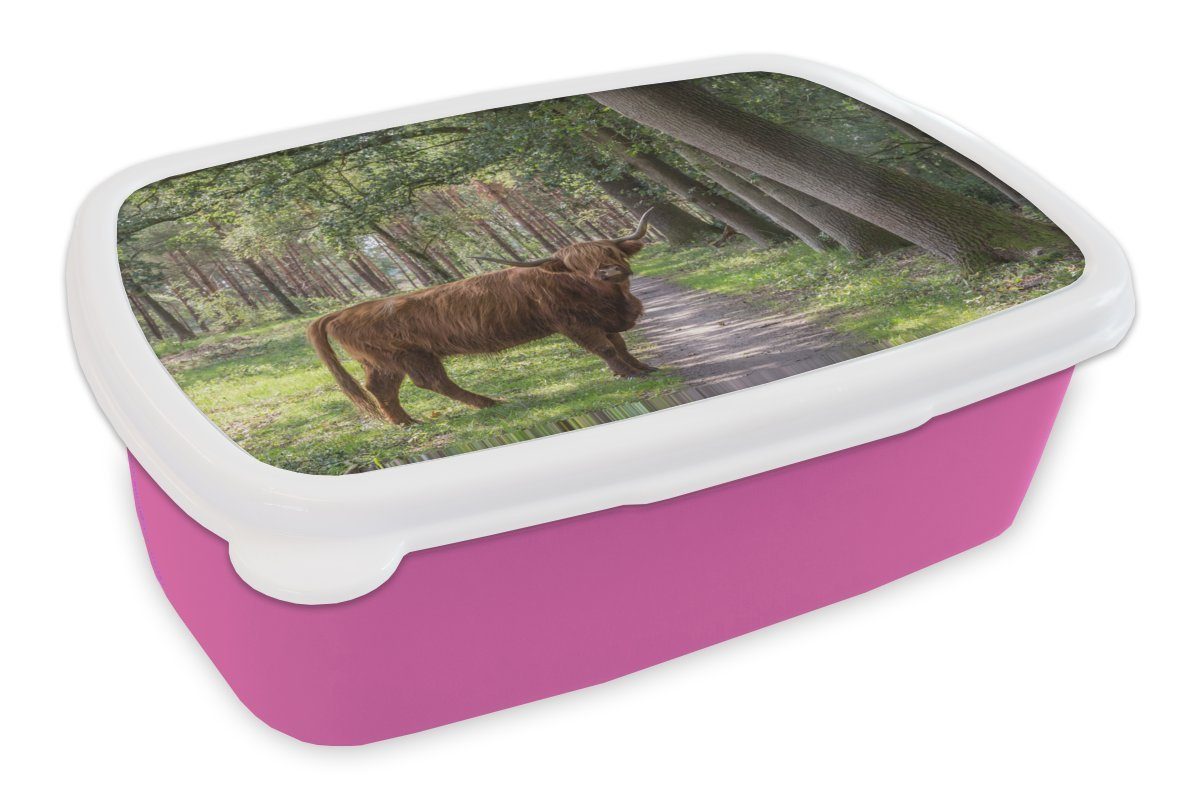 Kinder, Licht, Brotbox rosa Mädchen, Brotdose - Kunststoff Lunchbox Schottischer Wald Highlander für - Erwachsene, Snackbox, MuchoWow Kunststoff, (2-tlg),