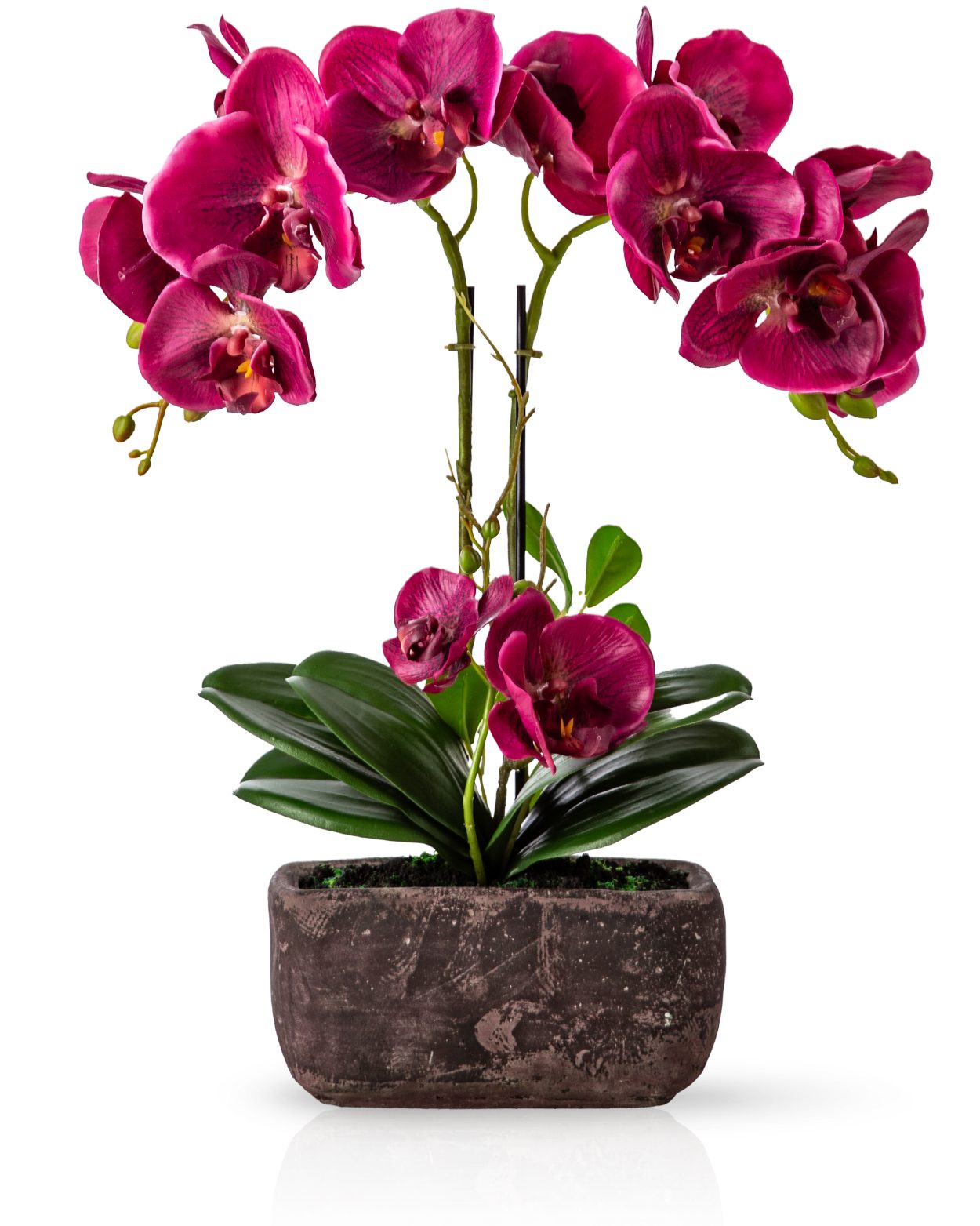 Kunstorchidee PASCH® Orchidee künstlich wie echt (40cm) in Urban Stone Töpfen Orchidee, PASCH, Real Touch Blüten, Handgefertigter Stone Cube