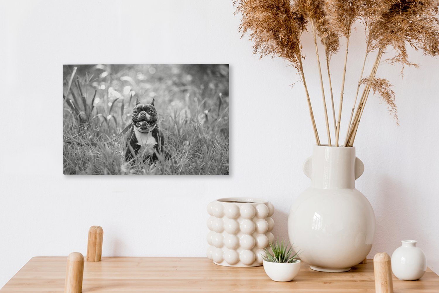 - (1 hohen Leinwandbild Bulldogge Gras im Aufhängefertig, Französische schwarz 30x20 und Wanddeko, Leinwandbilder, cm weiß, OneMillionCanvasses® St), Wandbild