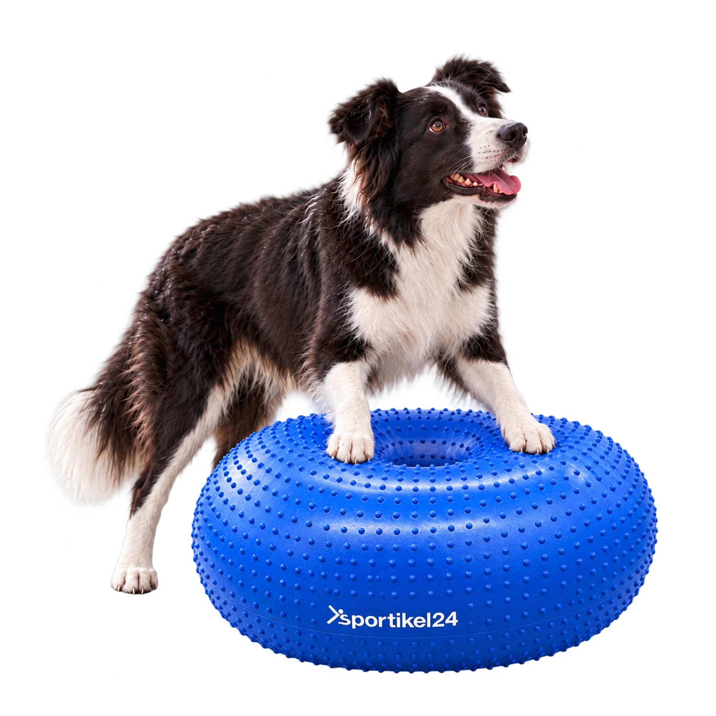Superhund Balancetrainer Balance-Donut für Hunde – Stabilität & Muskelaufbau – Blau