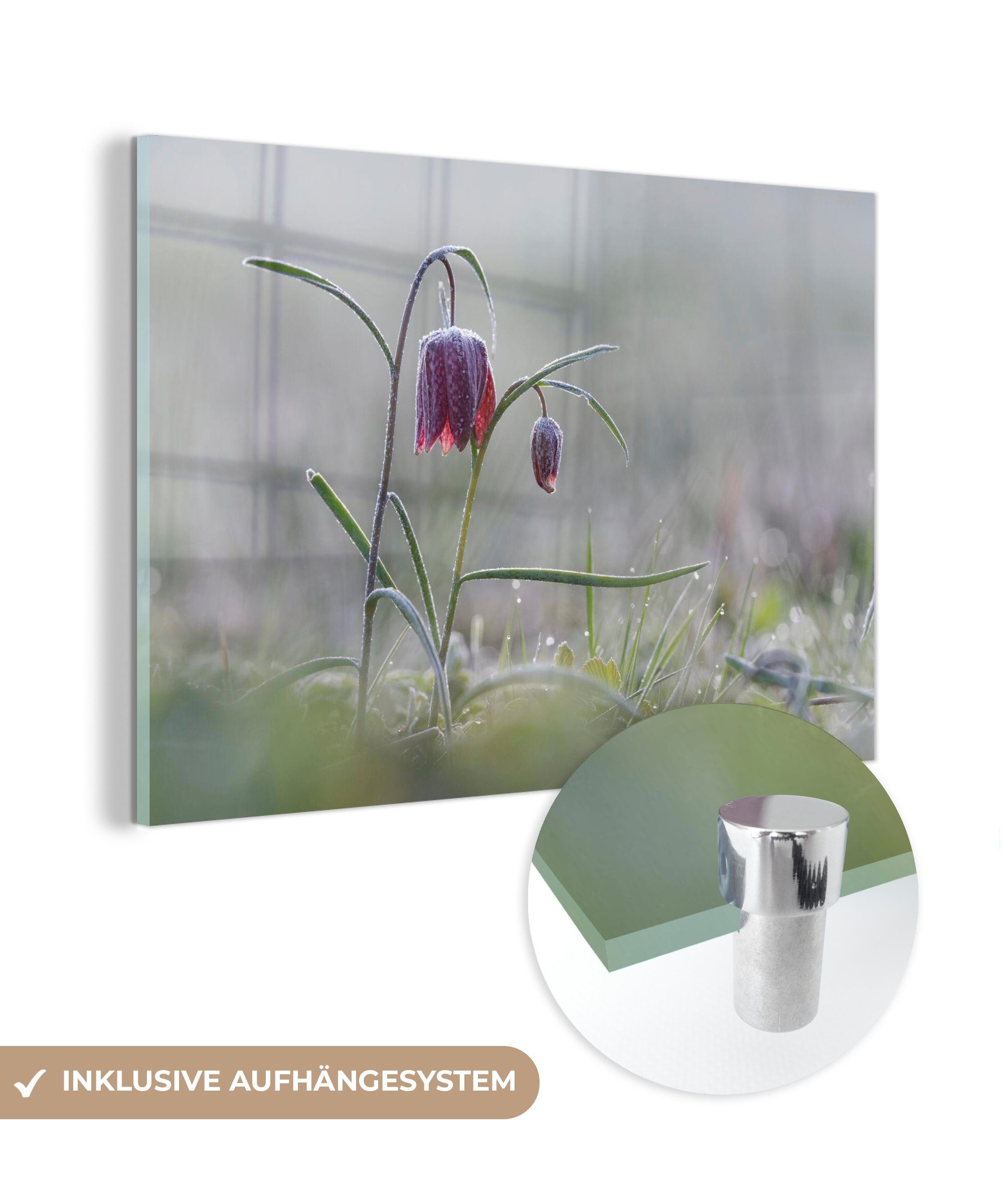 MuchoWow Acrylglasbild Gefroren - Eiscreme - Blumen, (1 St), Acrylglasbilder Wohnzimmer & Schlafzimmer