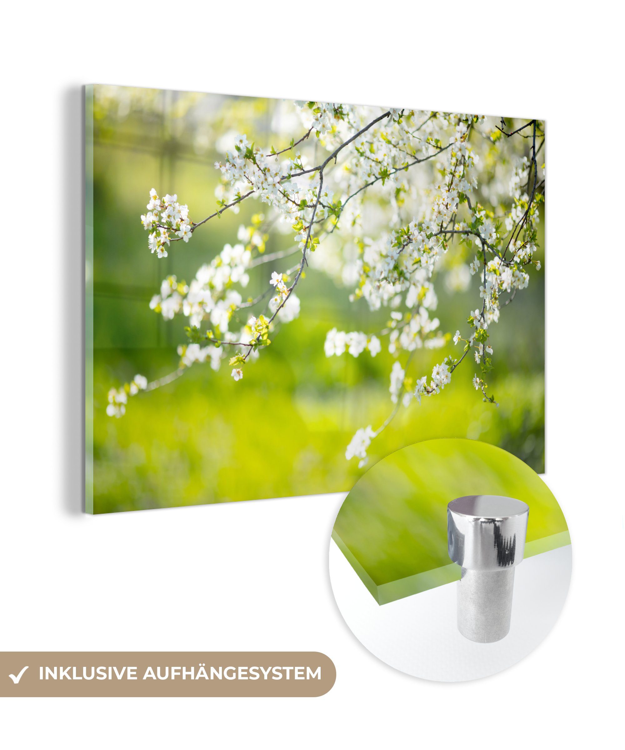 MuchoWow Acrylglasbild Blüte - Frühling - Weiß, (1 St), Acrylglasbilder Wohnzimmer & Schlafzimmer