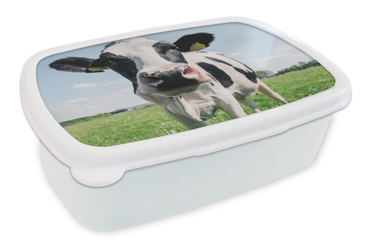 MuchoWow Lunchbox Kuh - Wiese - Natur - Tiere - Gras, Kunststoff, (2-tlg), Brotbox für Kinder und Erwachsene, Brotdose, für Jungs und Mädchen weiß