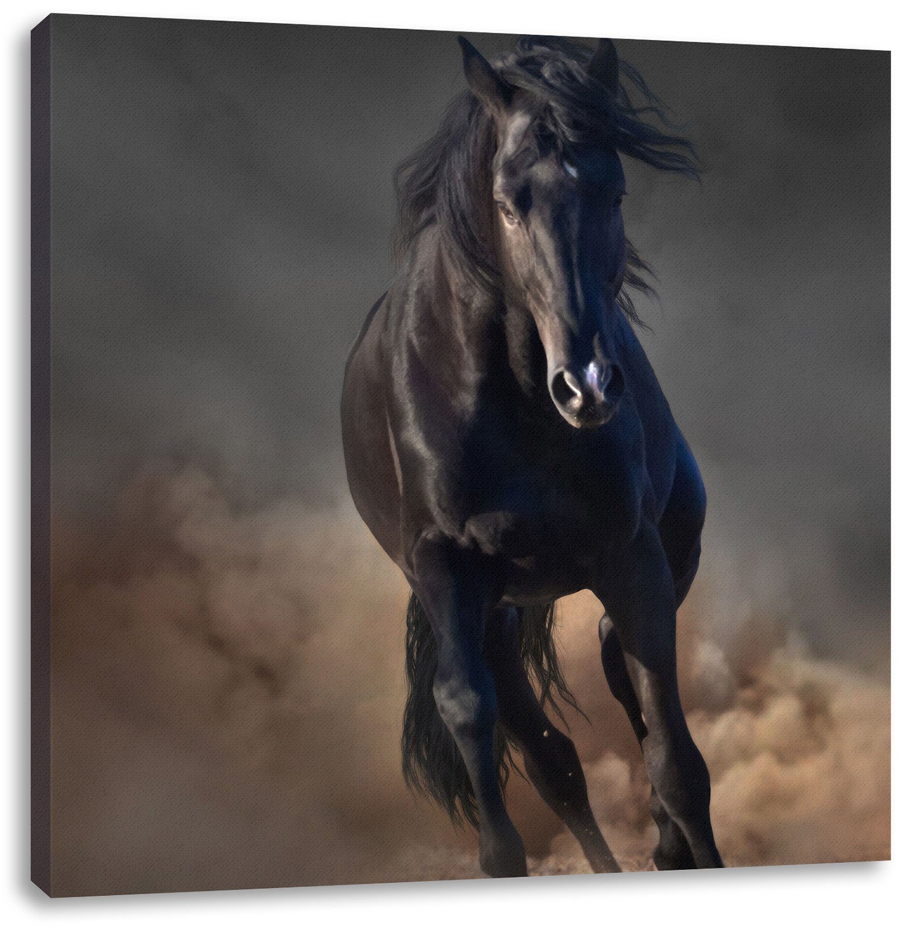 Elegantes Elegantes Pferd Pixxprint fertig (1 bespannt, Zackenaufhänger Leinwandbild schwarzes schwarzes Leinwandbild Pferd, inkl. St),