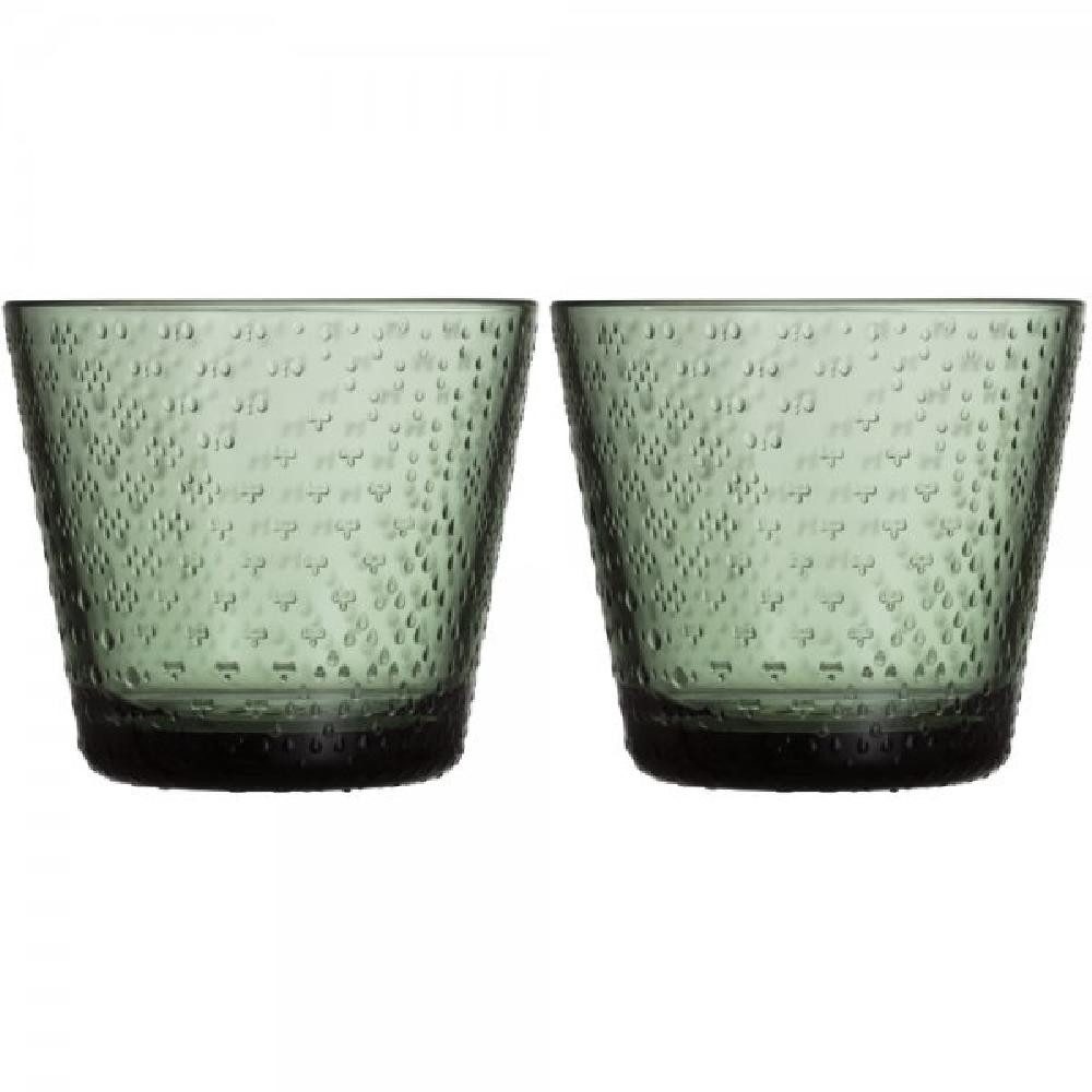 IITTALA Leerglas Trinkgläser Tundra Pine Green (Groß) (2-teilig)