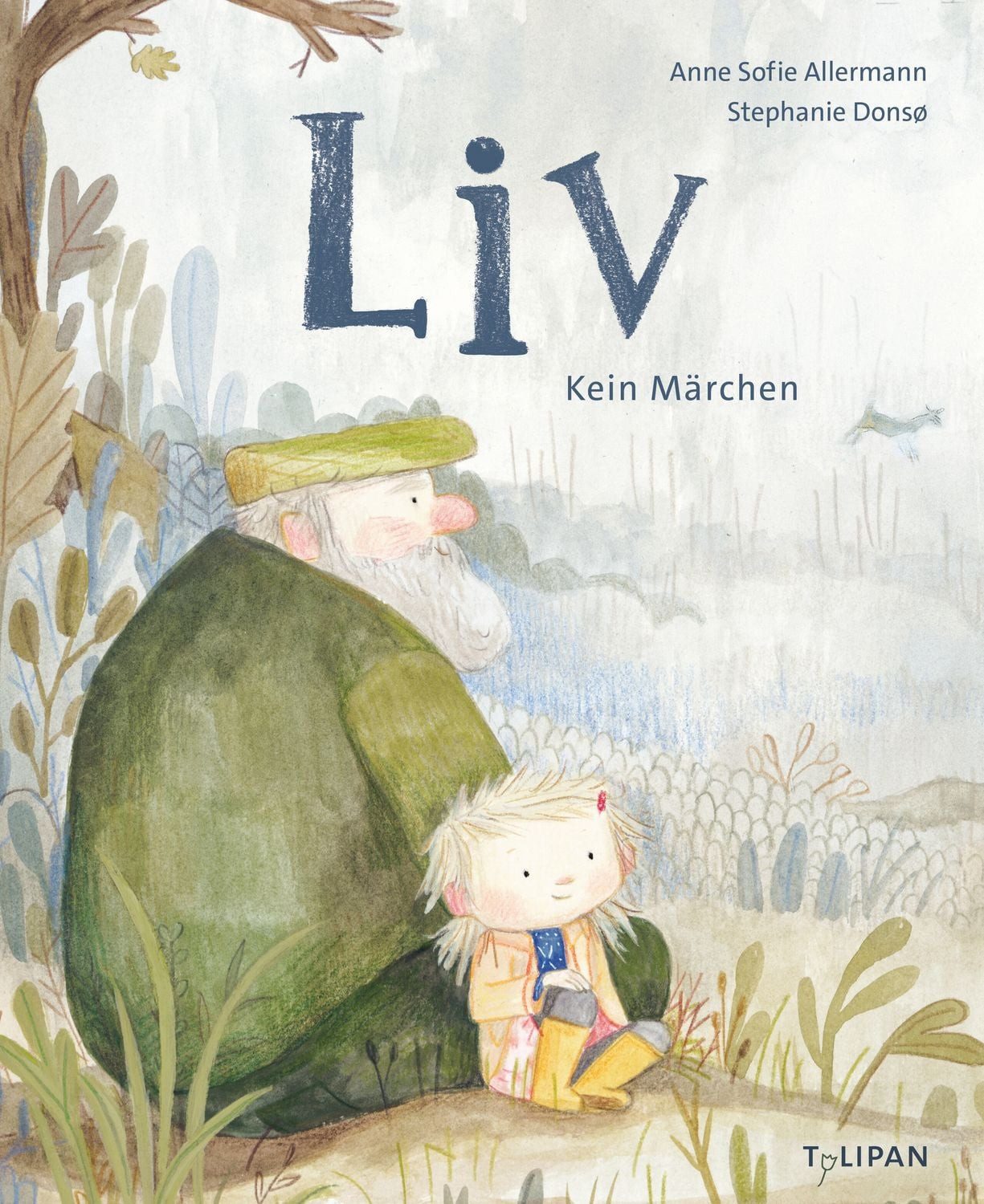 Liv - Kein Märchen / Anne Sofie Allermann