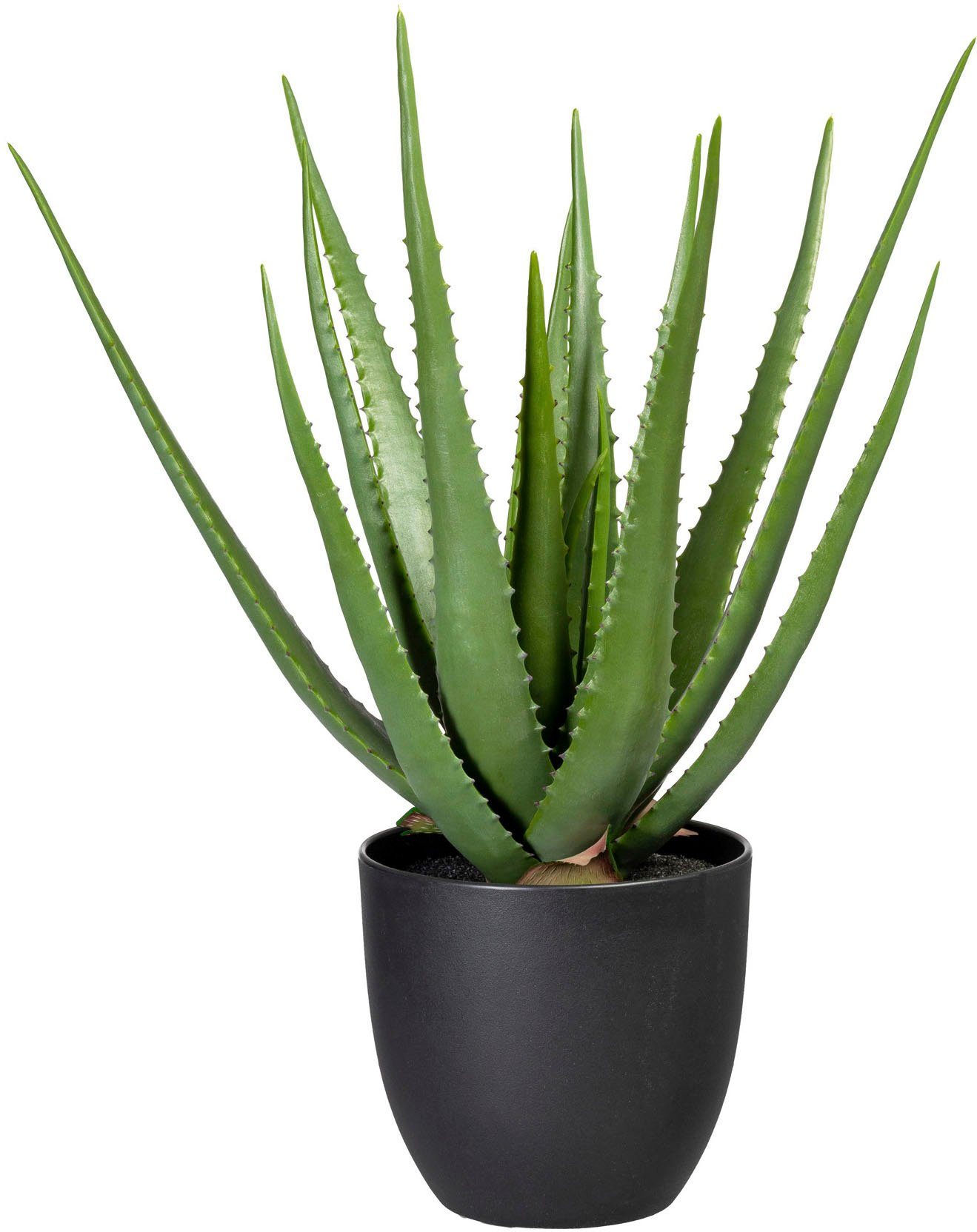 Künstliche Zimmerpflanze Aloe, Creativ green, Höhe 55 cm | Kunstpalmen