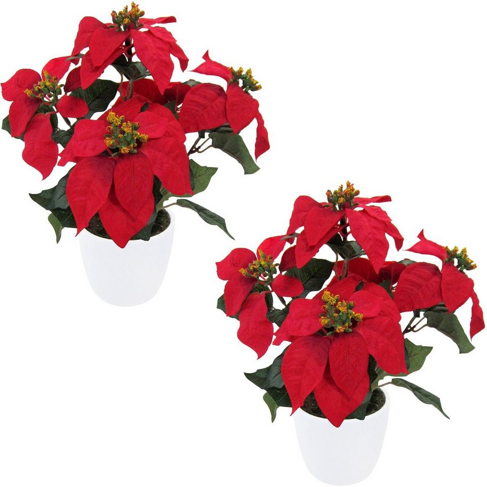 Weihnachtsstern, Set, inkl. Winterliche Creativ cm, Höhe Kunstpflanze rot Keramiktopf 3er deco, Weihnachtsdeko 36
