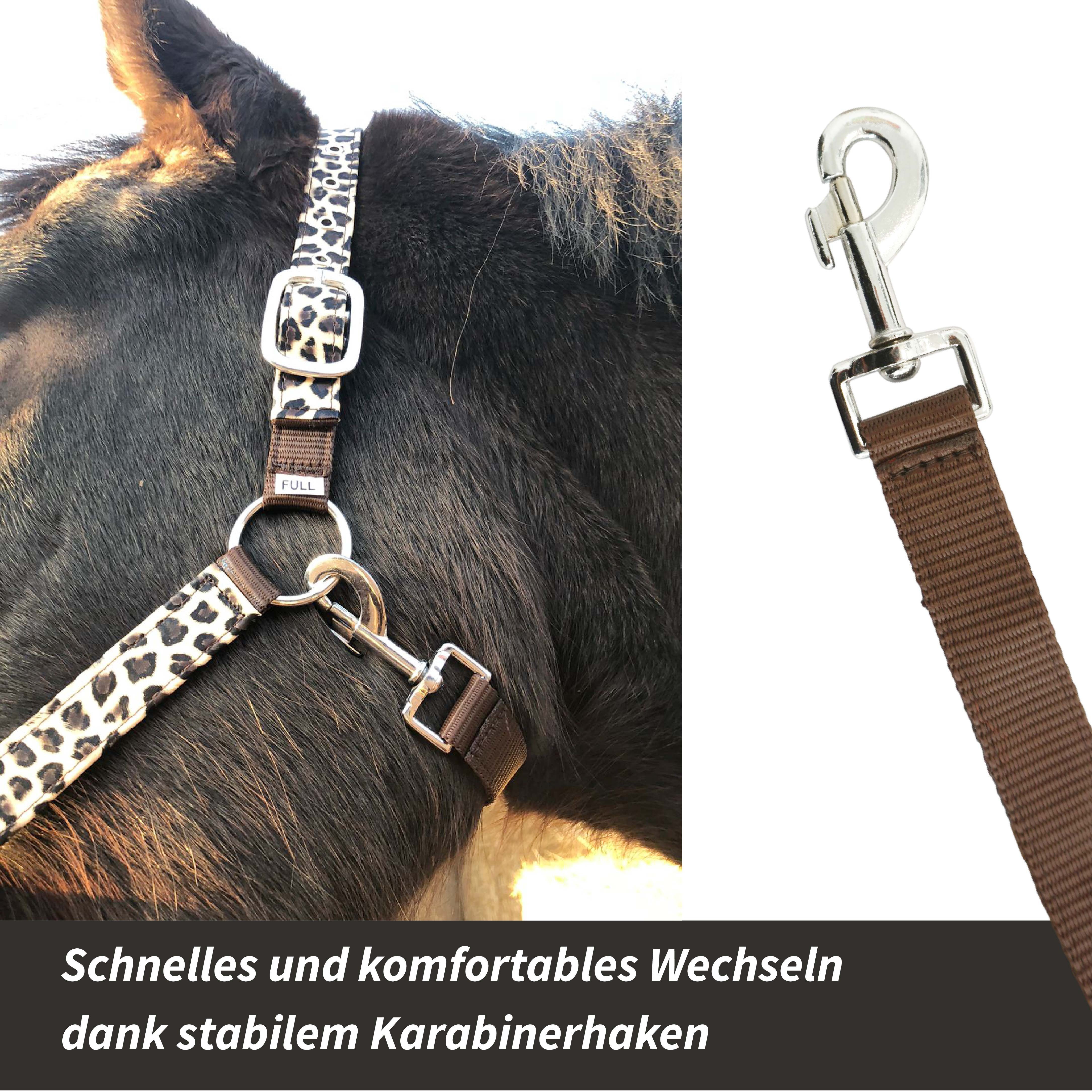 Pferdelinis Halfter Halfter für Pferde stylischer Leopard Look Shetty, Pony, Cob, Warmblut, verstellbar an Kinn- und Genickstück