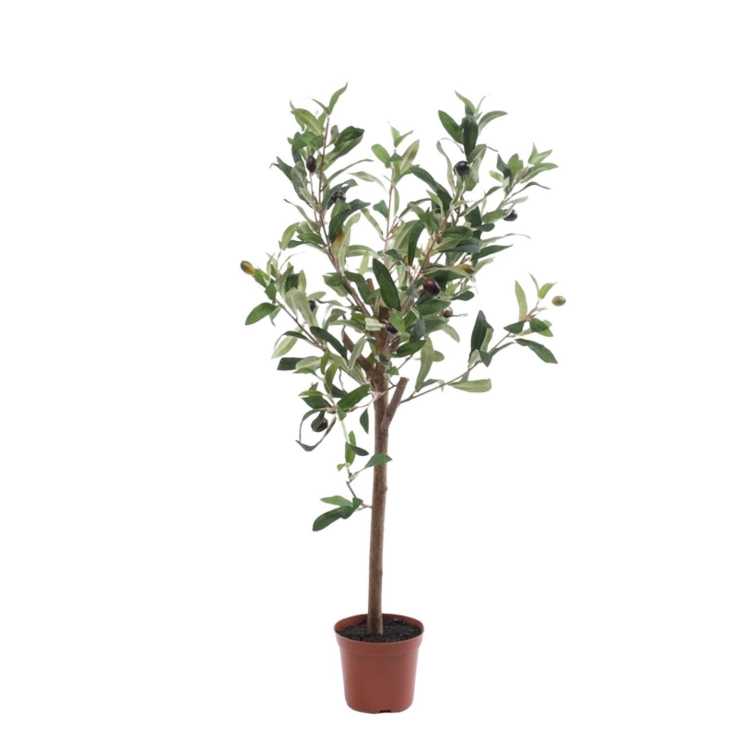 Künstliche Zimmerpflanze Topfpflanze Olive, Emerald, Höhe 65 cm, im Topf, Grün, Motiv: Oliven, Höhe: 65cm