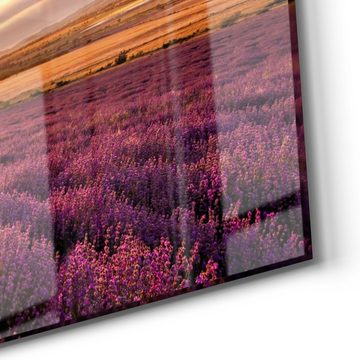 DEQORI Glasbild 'Lavendelreihen am Abend', 'Lavendelreihen am Abend', Glas Wandbild Bild schwebend modern