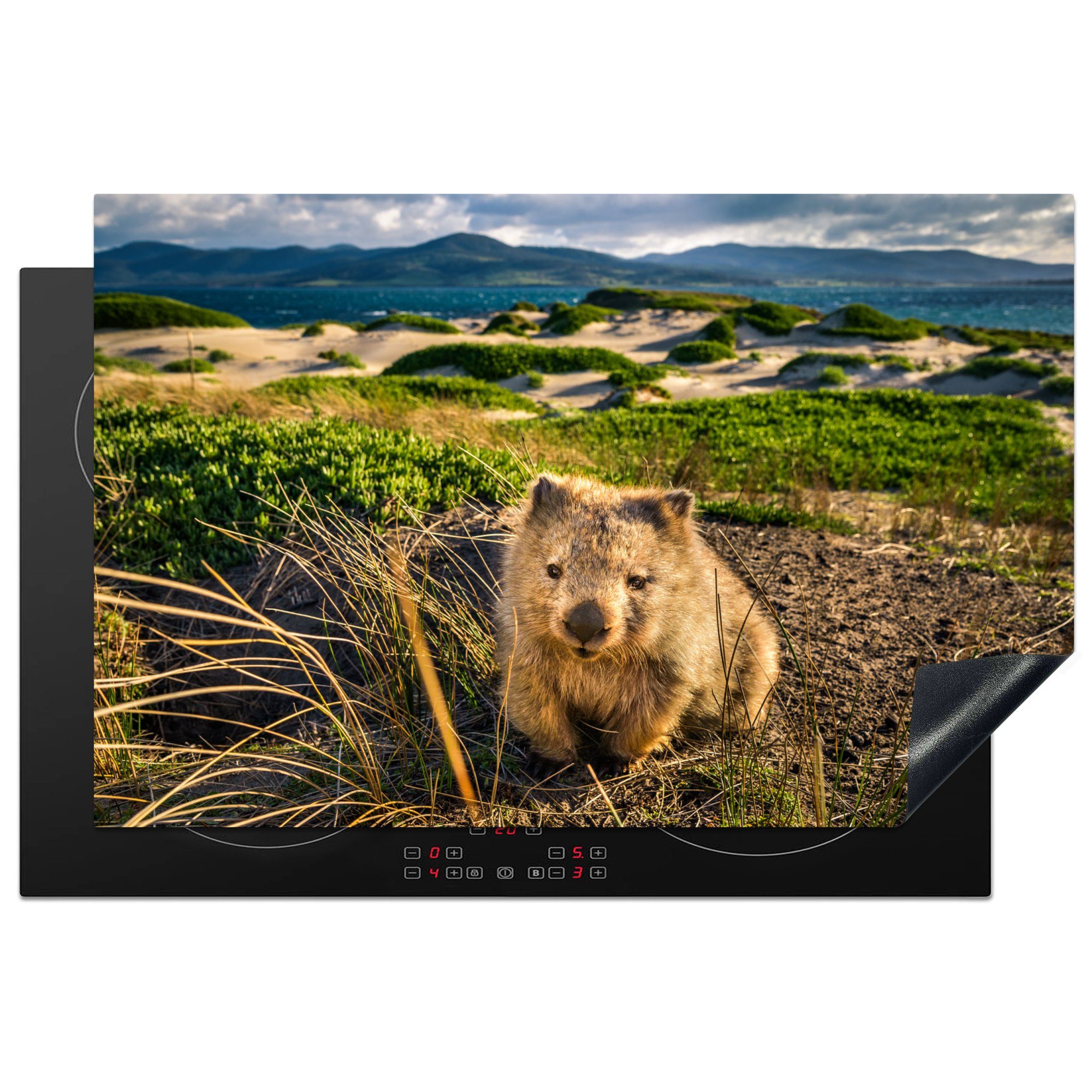 MuchoWow Herdblende-/Abdeckplatte Ein Wombat in einer grünen Umgebung, Vinyl, (1 tlg), 81x52 cm, Induktionskochfeld Schutz für die küche, Ceranfeldabdeckung