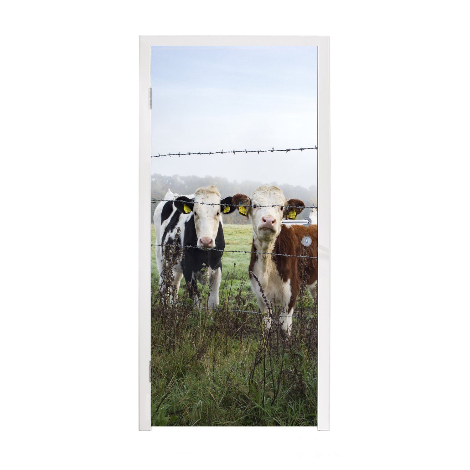 MuchoWow Türtapete Kuh - Fototapete für 75x205 Türaufkleber, Tür, - Matt, - bedruckt, Tiere, St), cm Stacheldraht Gras (1