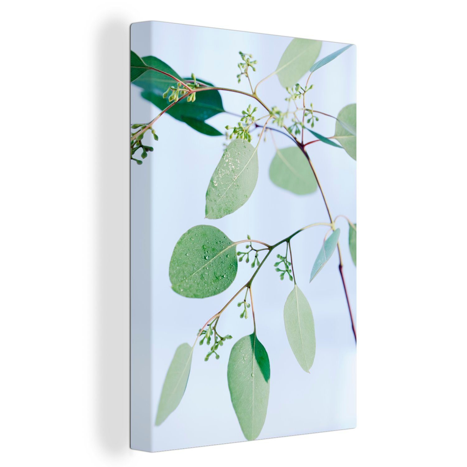 OneMillionCanvasses® Leinwandbild Eukalyptuszweige mit Blättern, (1 St), Leinwandbild fertig bespannt inkl. Zackenaufhänger, Gemälde, 20x30 cm