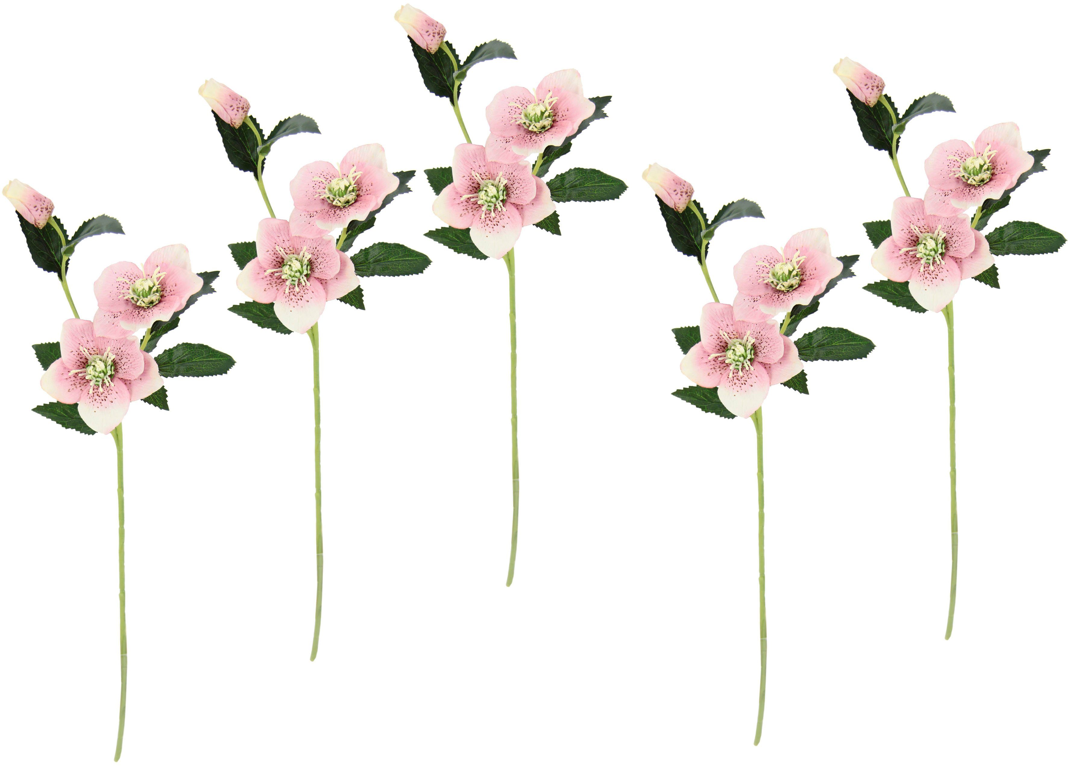 Kunstblume Christrose, I.GE.A., Höhe 57 cm, Künstlich Seidenblumen, 5er Set