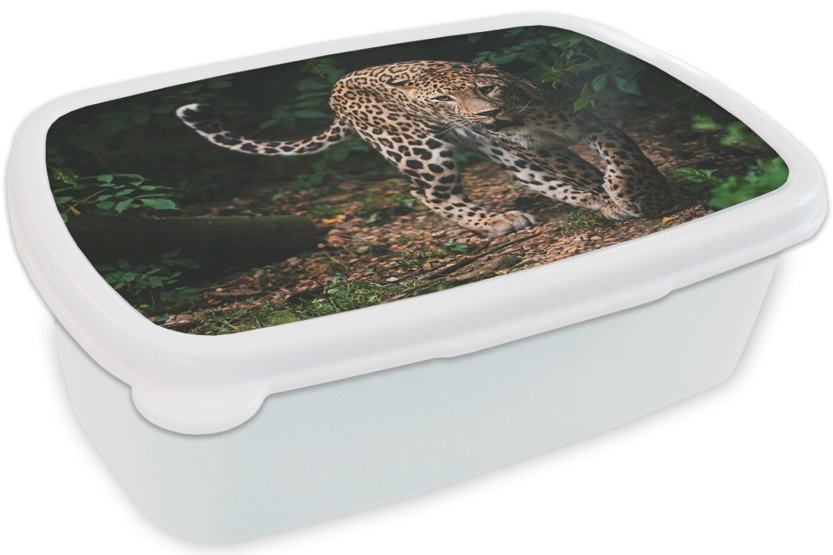 MuchoWow Lunchbox - und und Jungs Dschungel - für Natur, Erwachsene, Brotbox Kunststoff, Mädchen Leopard - weiß Brotdose, Wildtiere Kinder für (2-tlg)