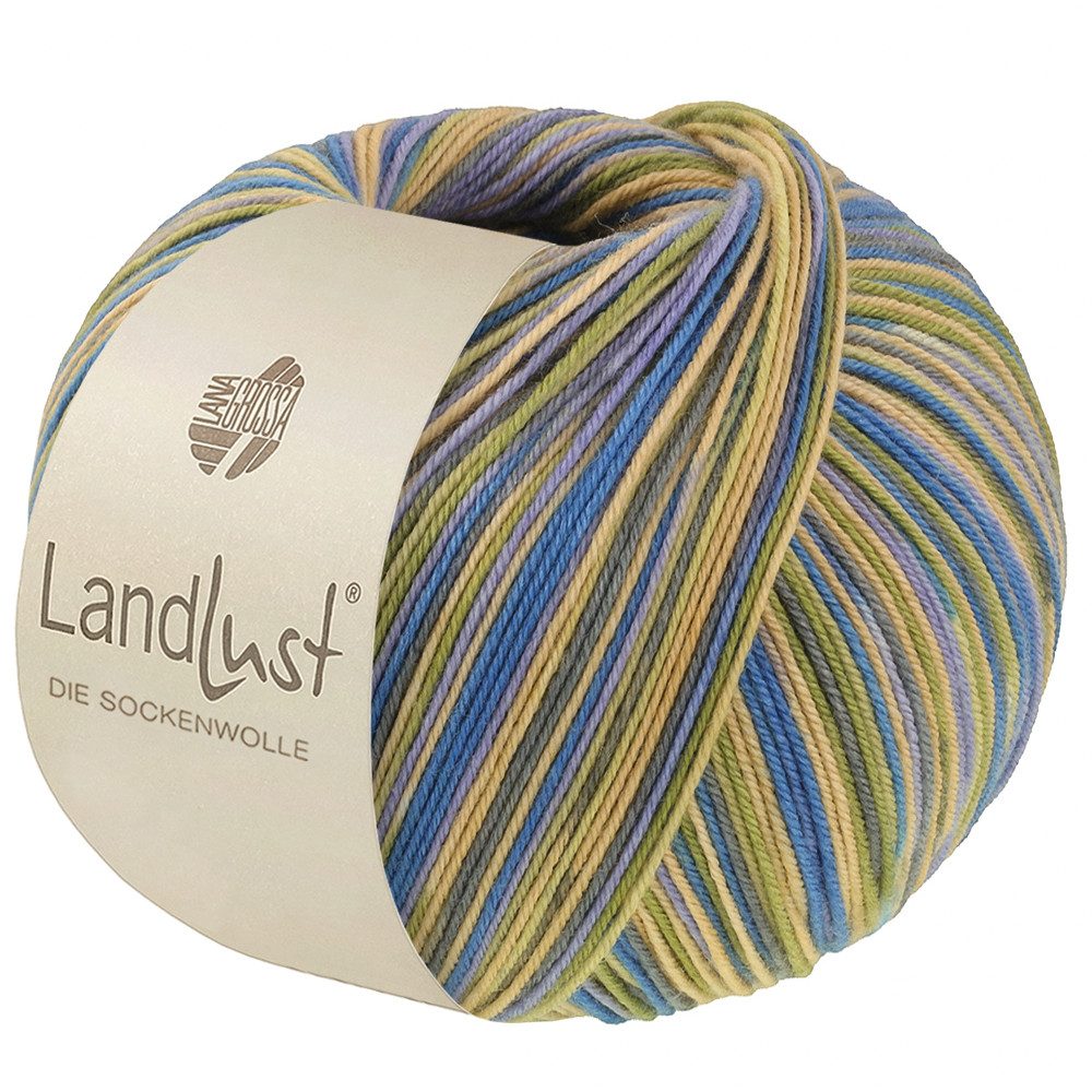 LANA GROSSA Landlust DIE SOCKENWOLLE mit Seide Häkelwolle, 400 m (Sockengarn von Lana Grossa und Landlust), 100 g