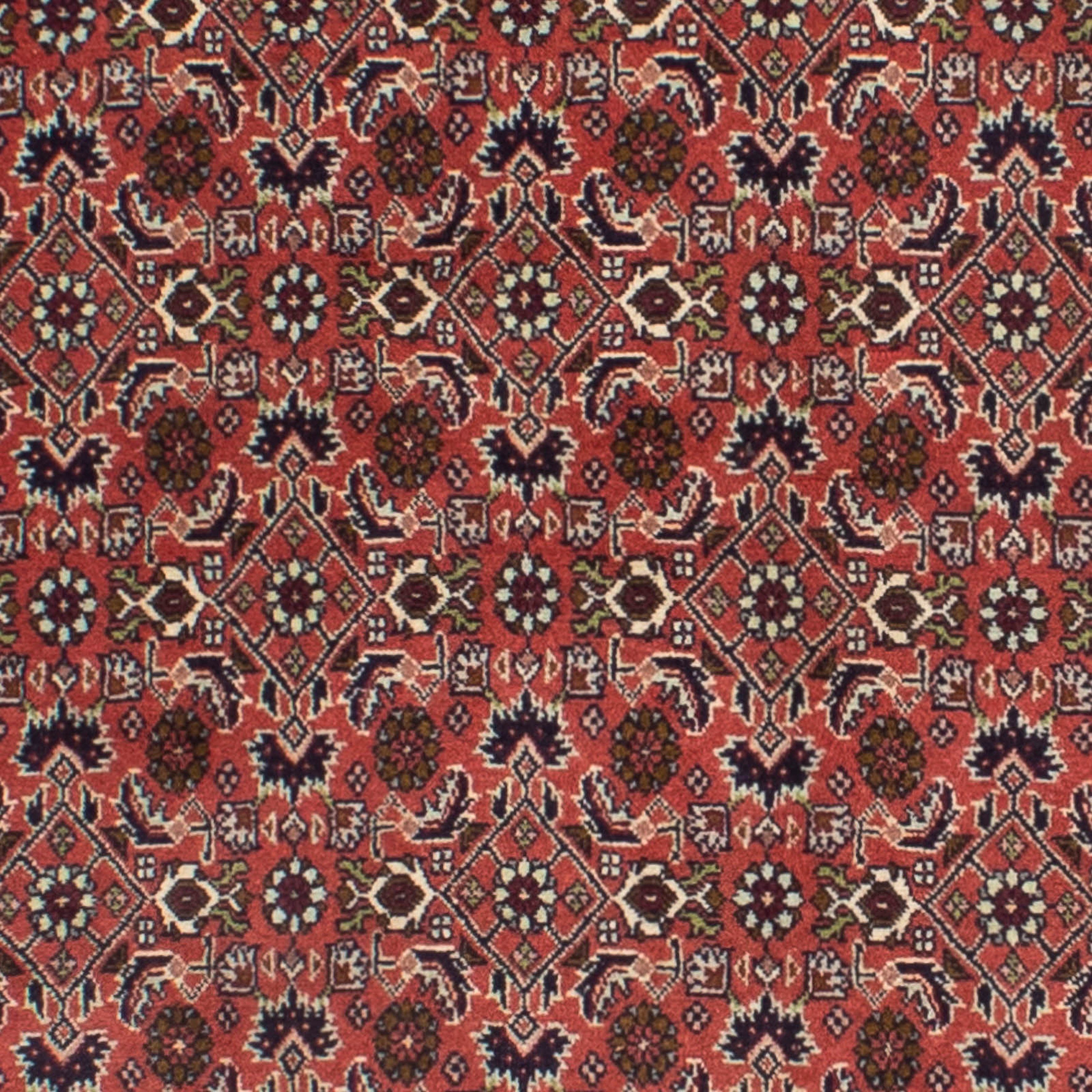 15 Perser Orientteppich x cm mm, dunkelrot, Höhe: Einzelstück 84 - - Handgeknüpft, Bidjar - Zertifikat morgenland, rechteckig, mit Wohnzimmer, 291