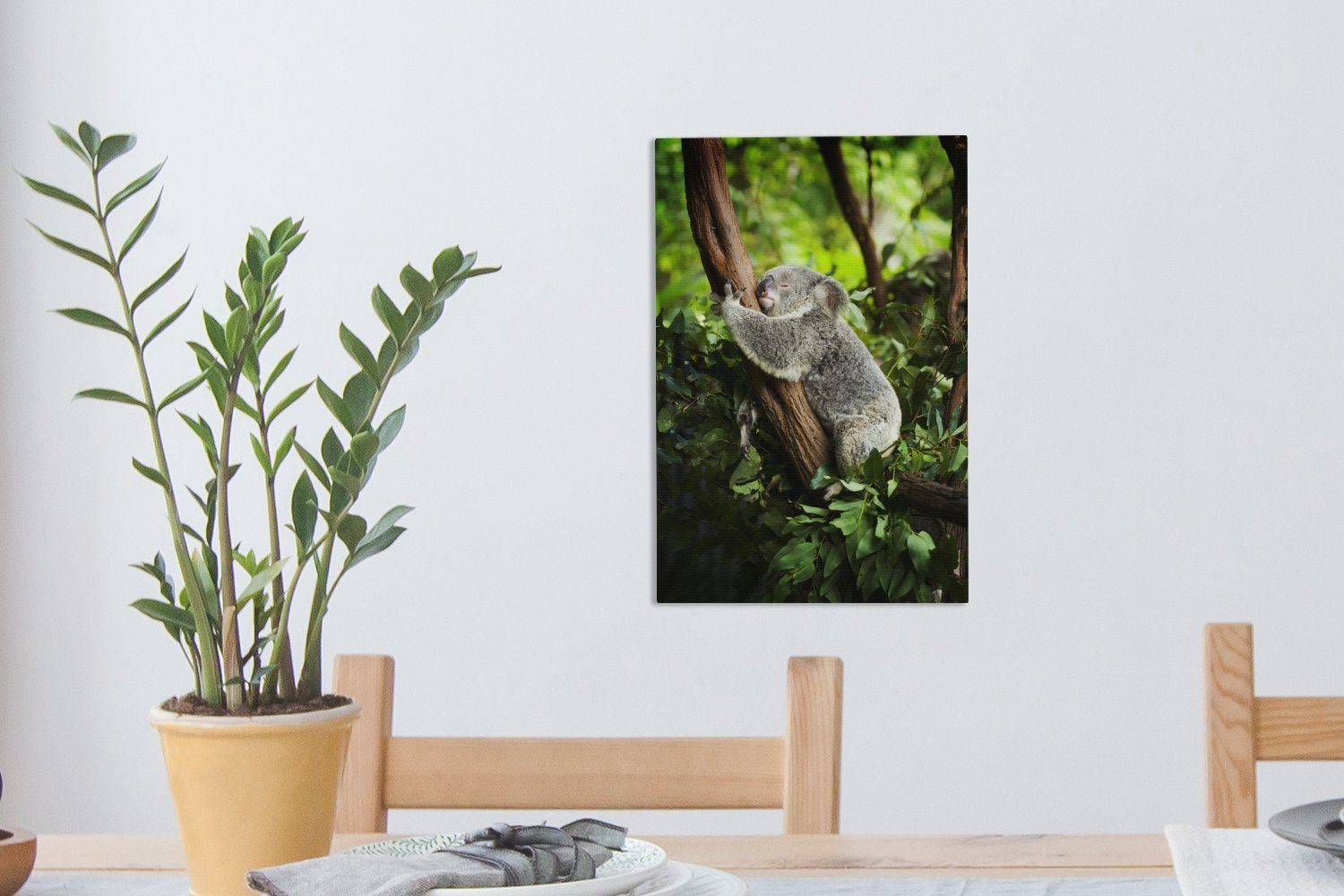 bespannt Baum, Leinwandbild Schlafend inkl. OneMillionCanvasses® Zackenaufhänger, - (1 - Gemälde, Koala cm 20x30 Leinwandbild fertig St),