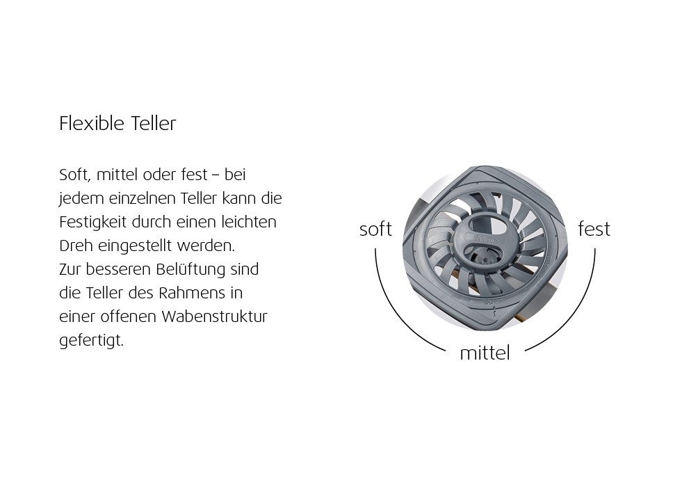 Tellerlattenrost mit Motor TEMPUR® Systemrahmen Lattenrost Premium Flex 3000, Tempur